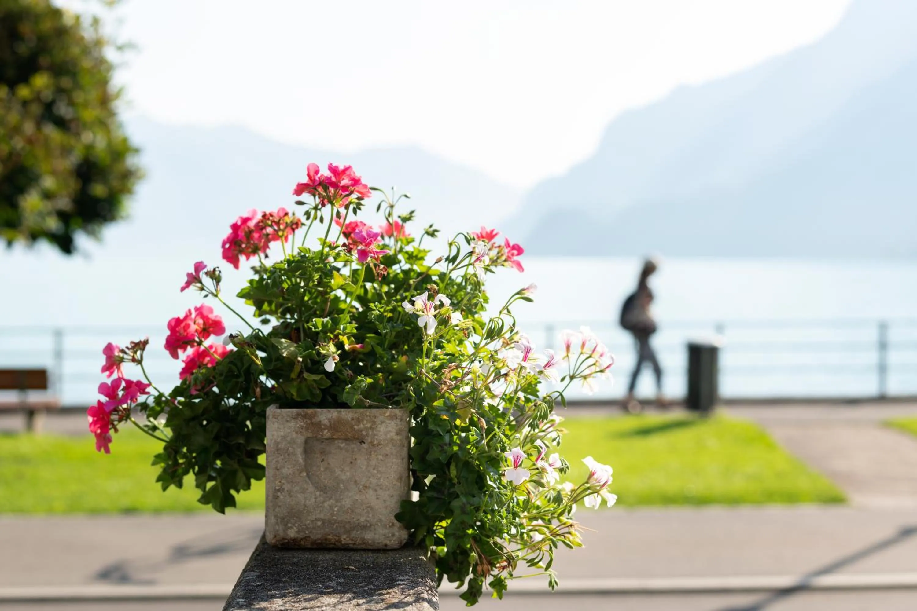 Lake view in Seiler au Lac