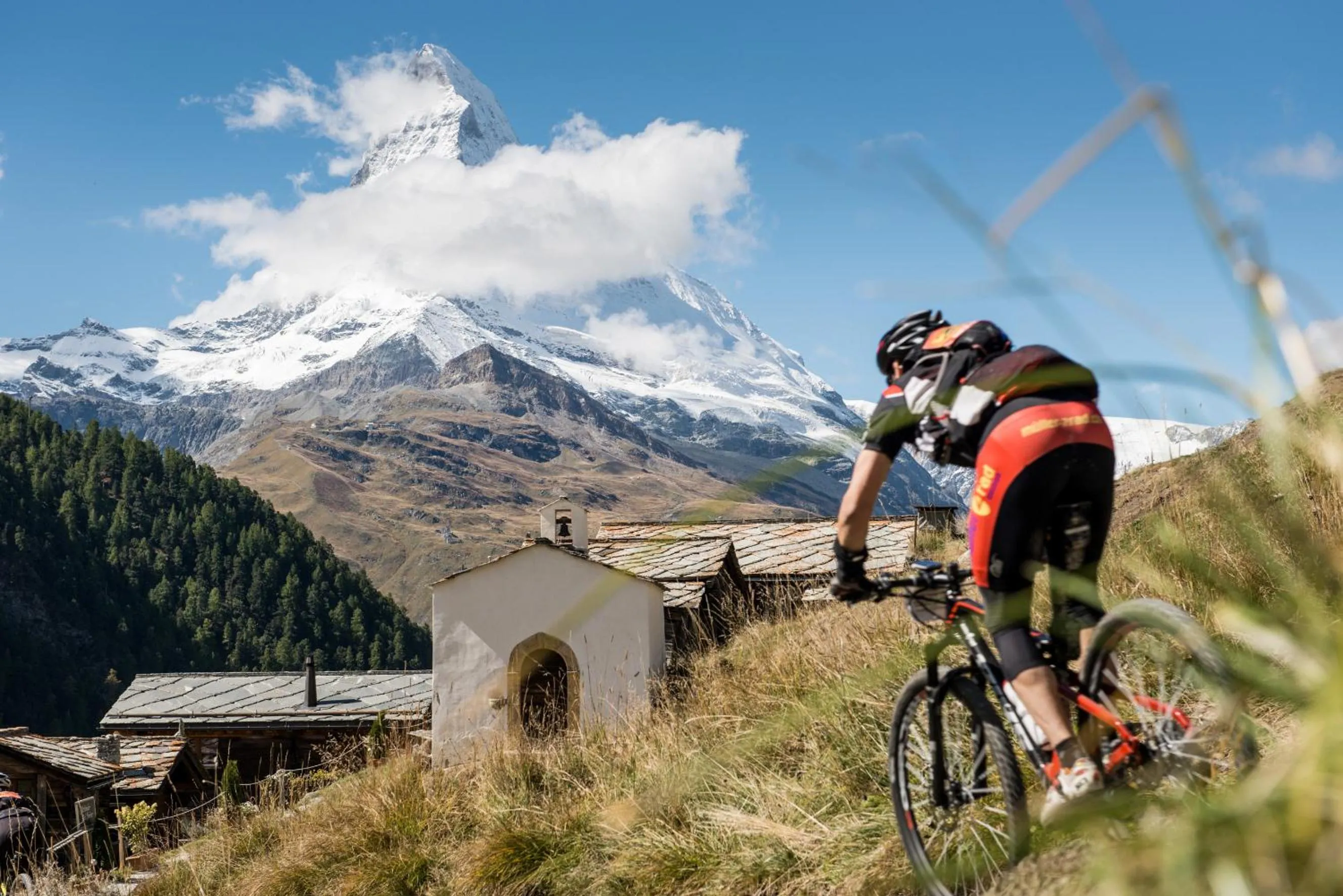 Natural landscape in Hotel Butterfly