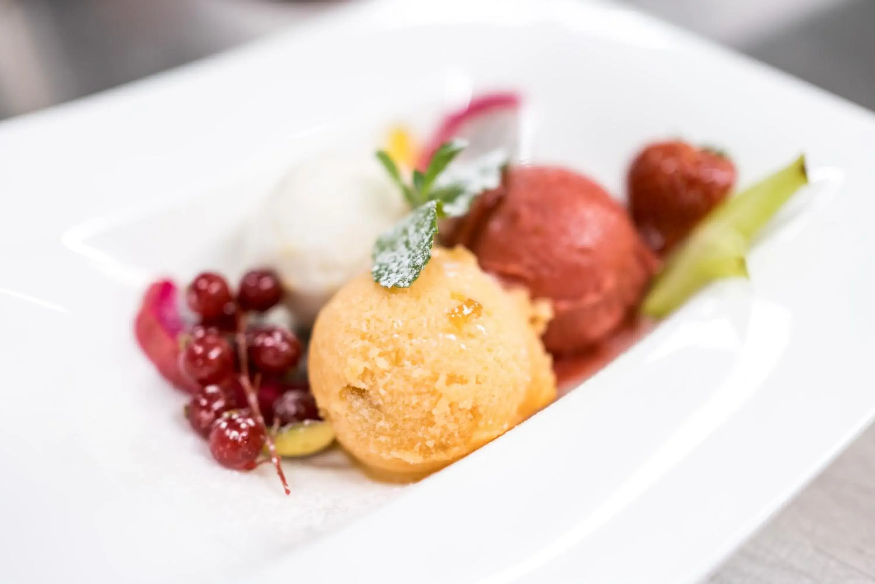 Restaurant/places to eat in Hotel Butterfly Restaurant/places to eat in Hotel Butterfly