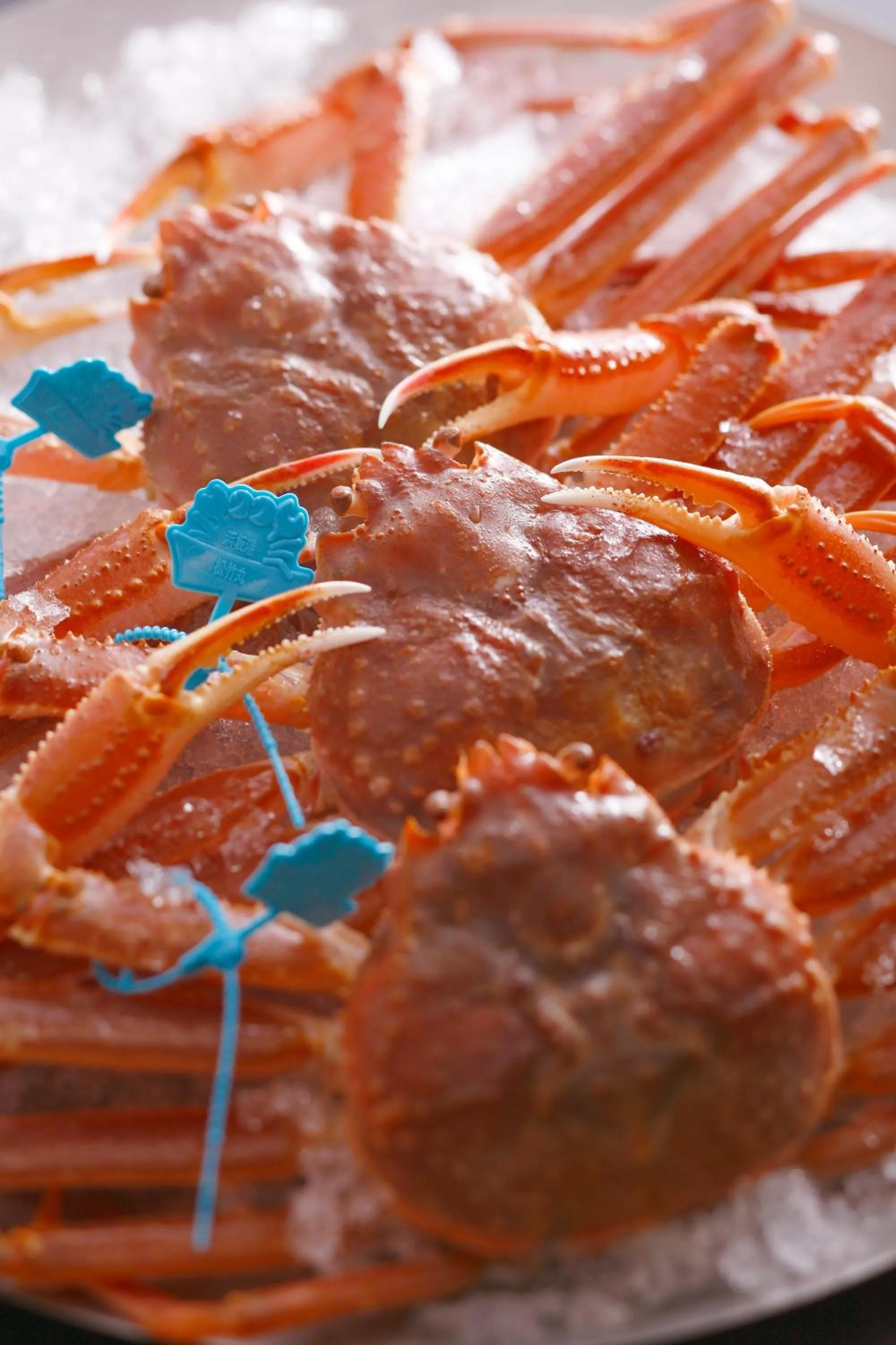 Food close-up in Asanoya