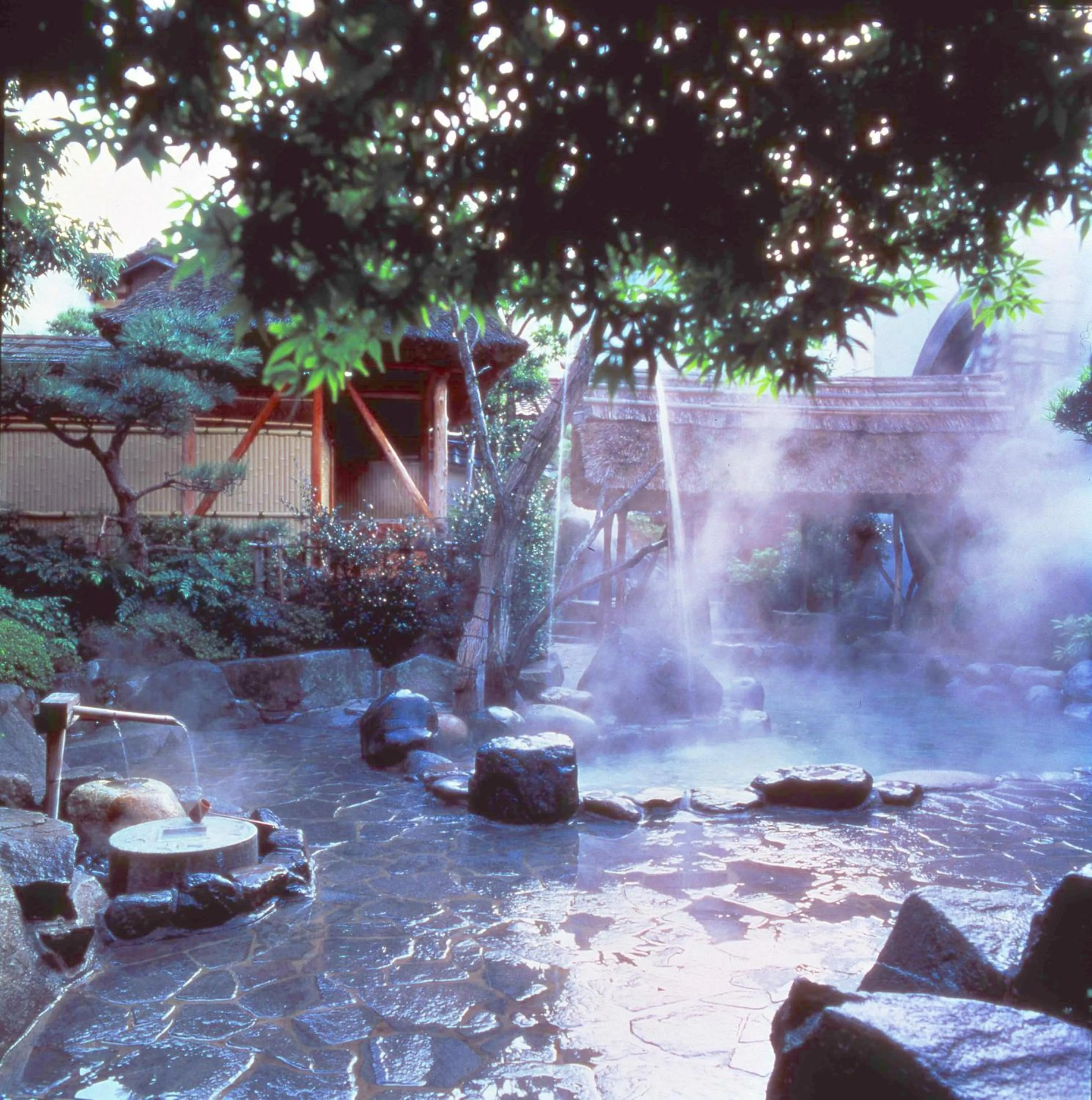 Hot Spring Bath in Asanoya