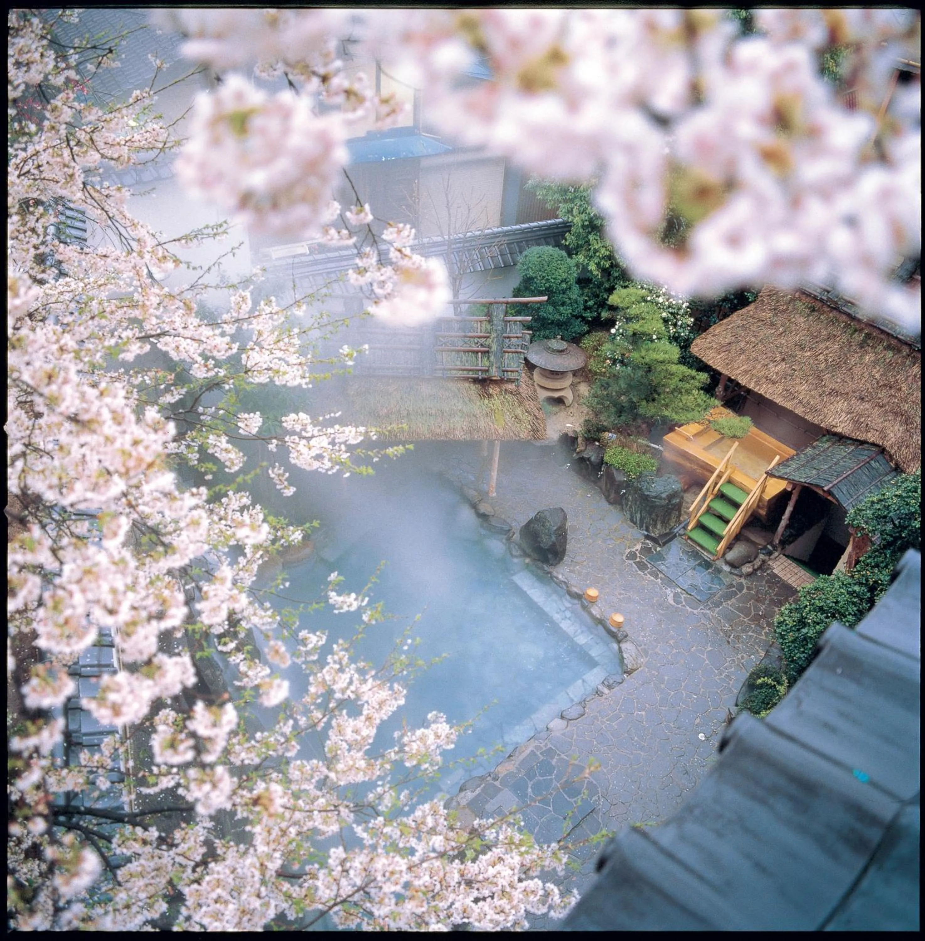 Hot Spring Bath in Asanoya