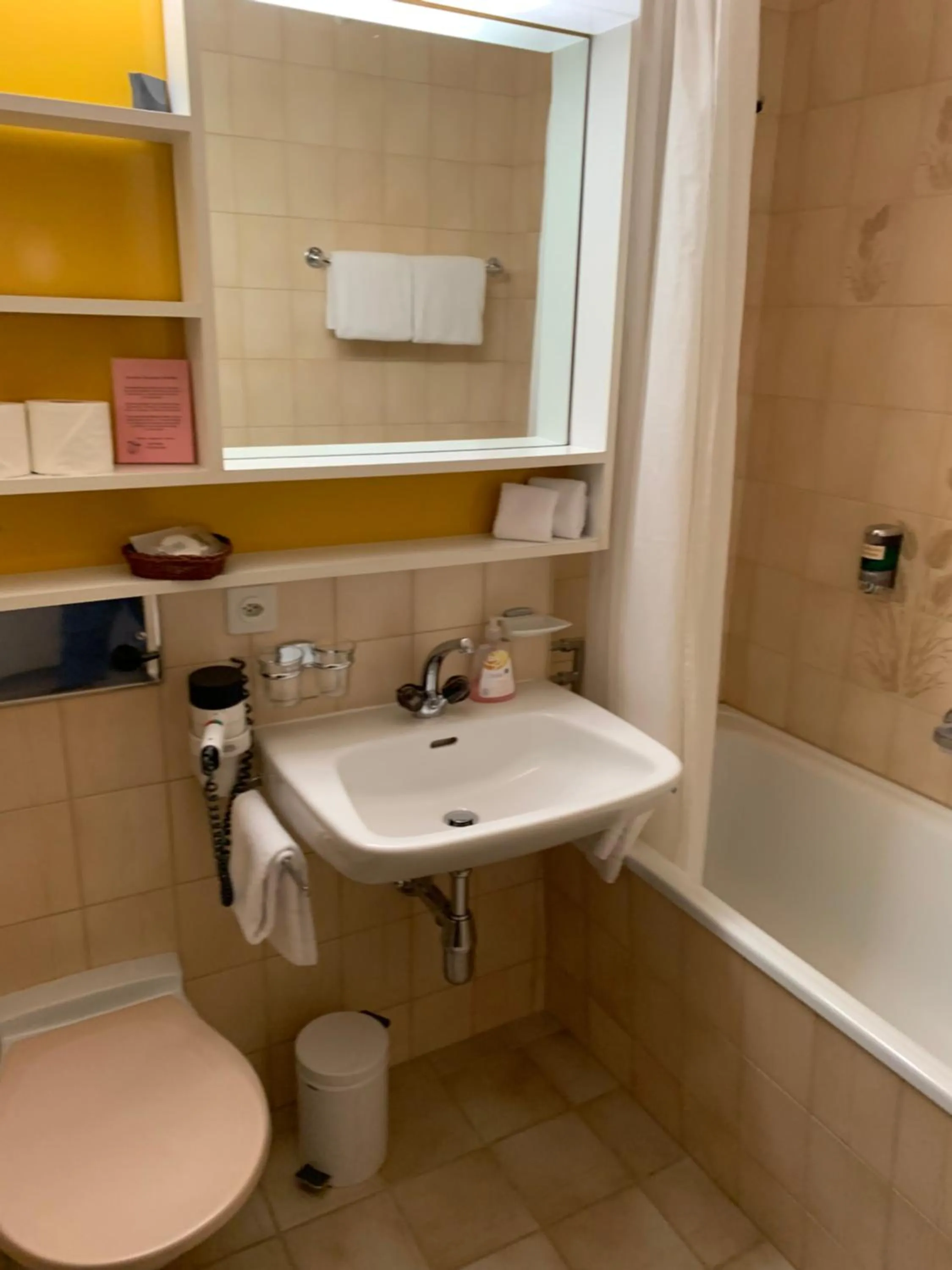 Bathroom in Hotel des Alpes