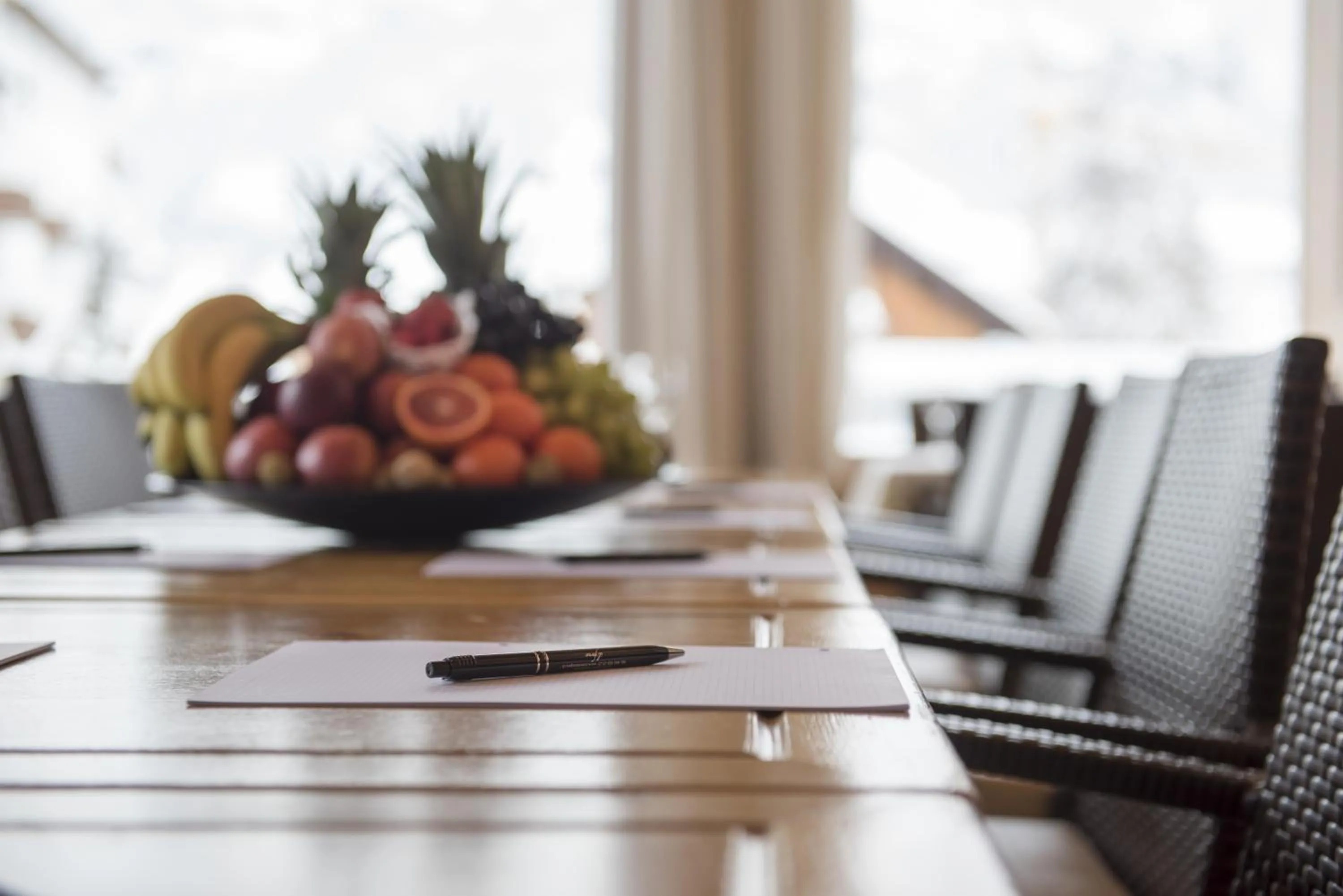 Meeting/conference room in Hotel des Alpes