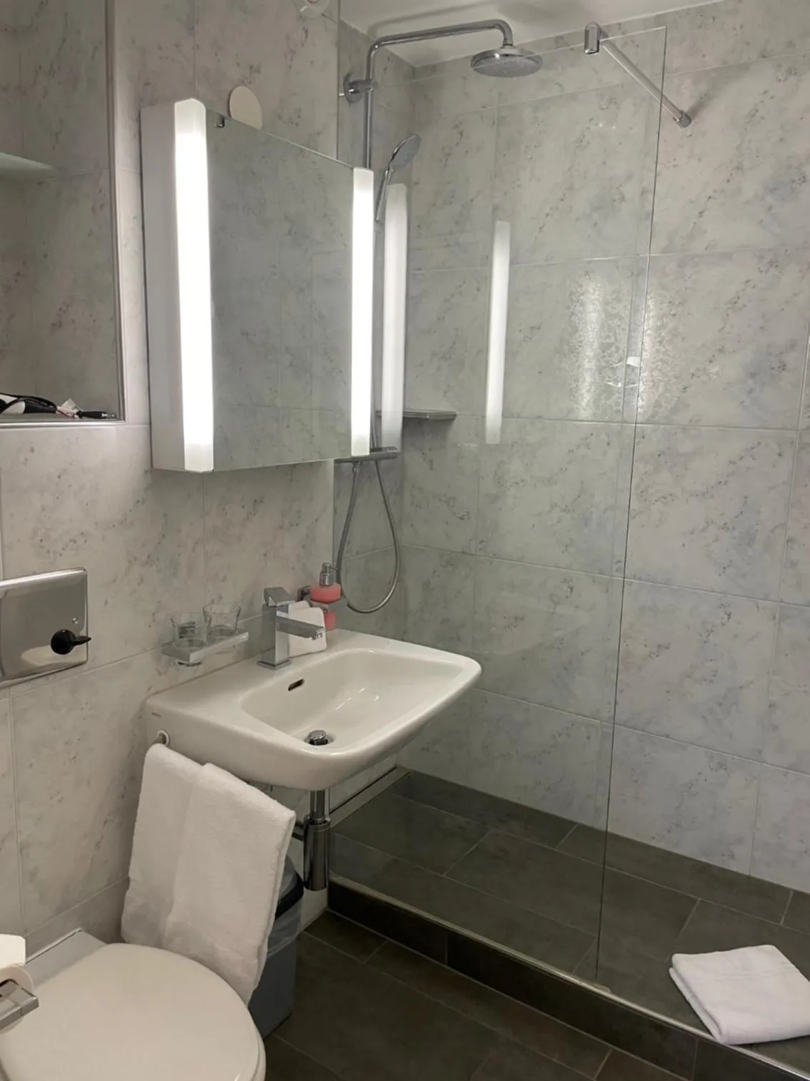 Bathroom in Hotel des Alpes