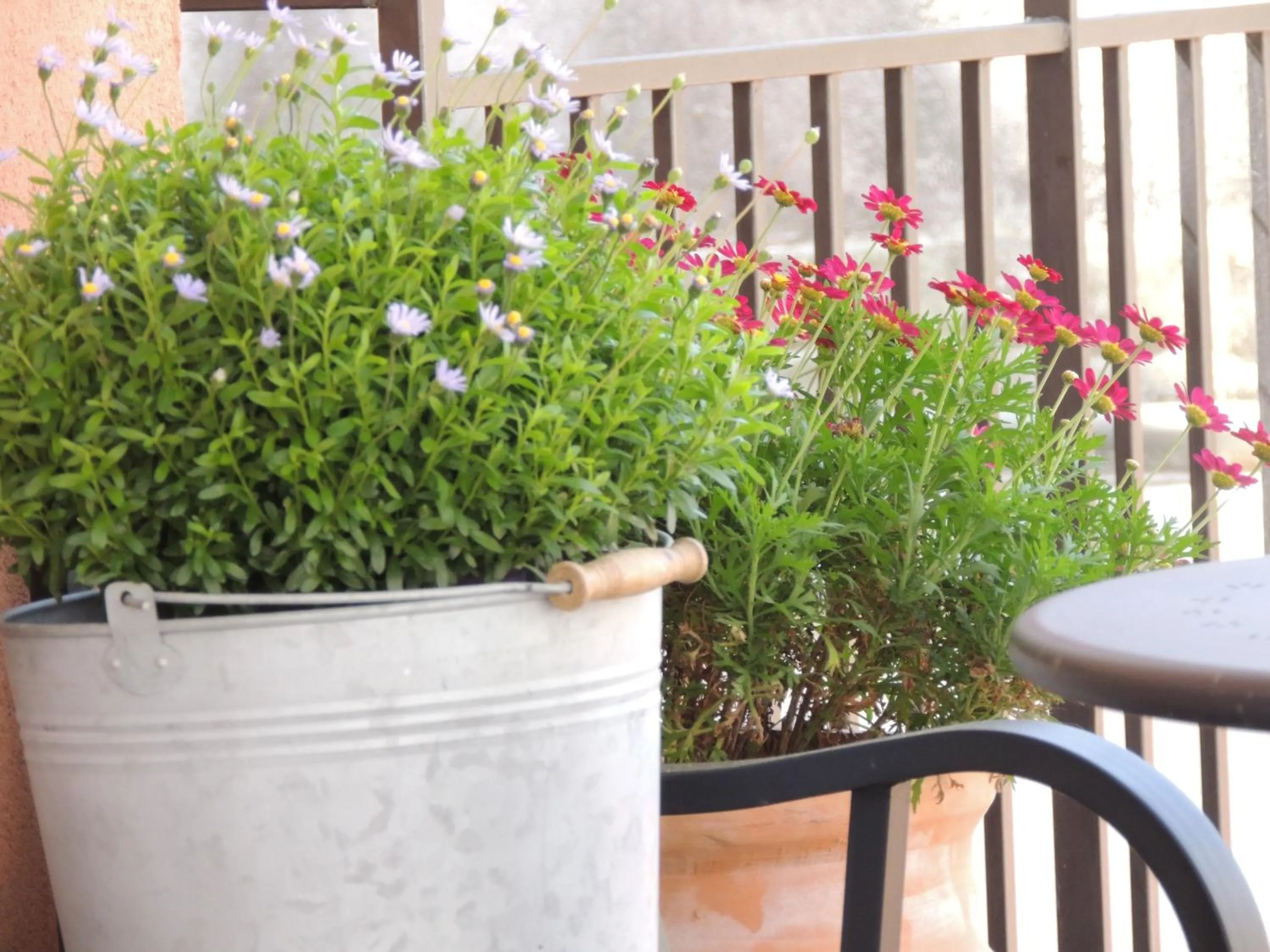 Balcony/Terrace in B&B il rosso e il nero