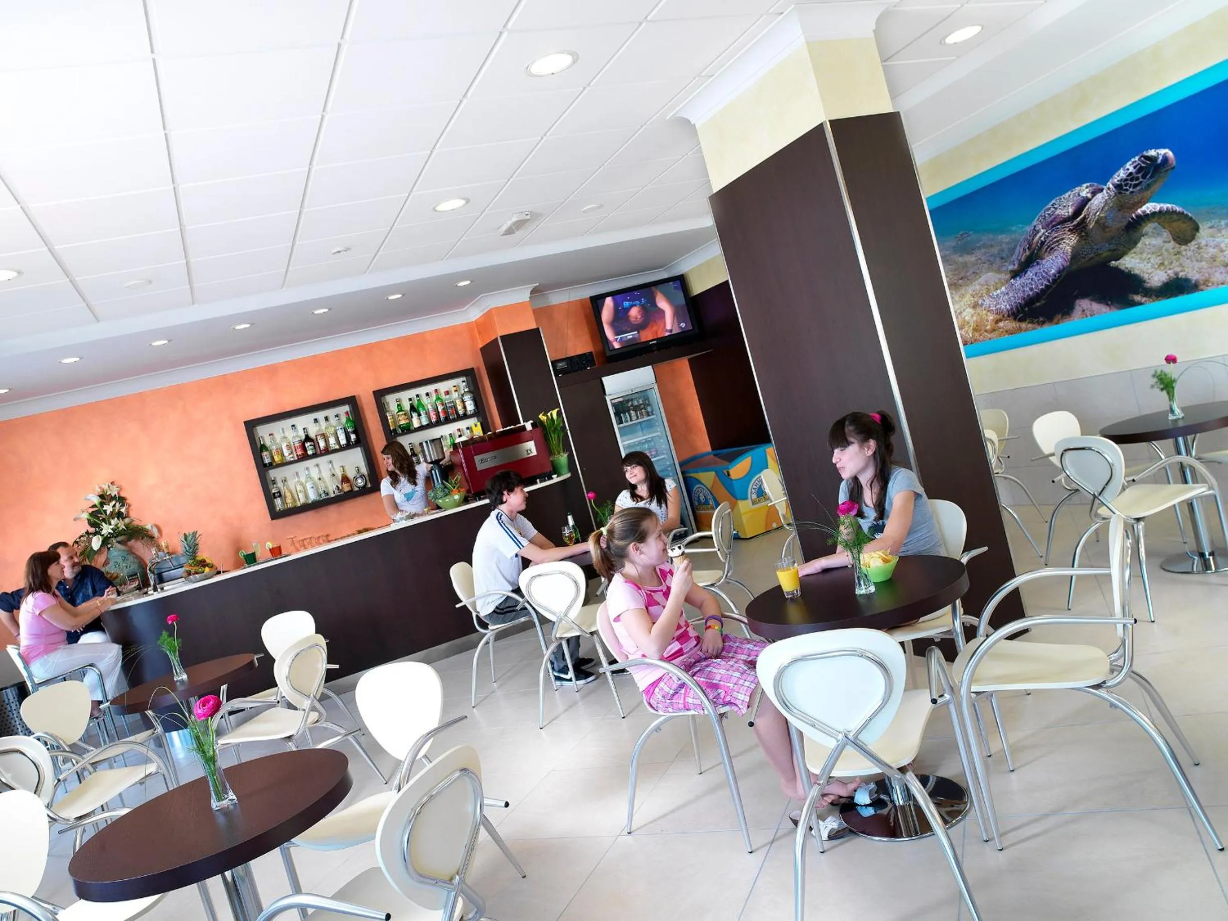 Restaurant/places to eat in Hotel Acquario