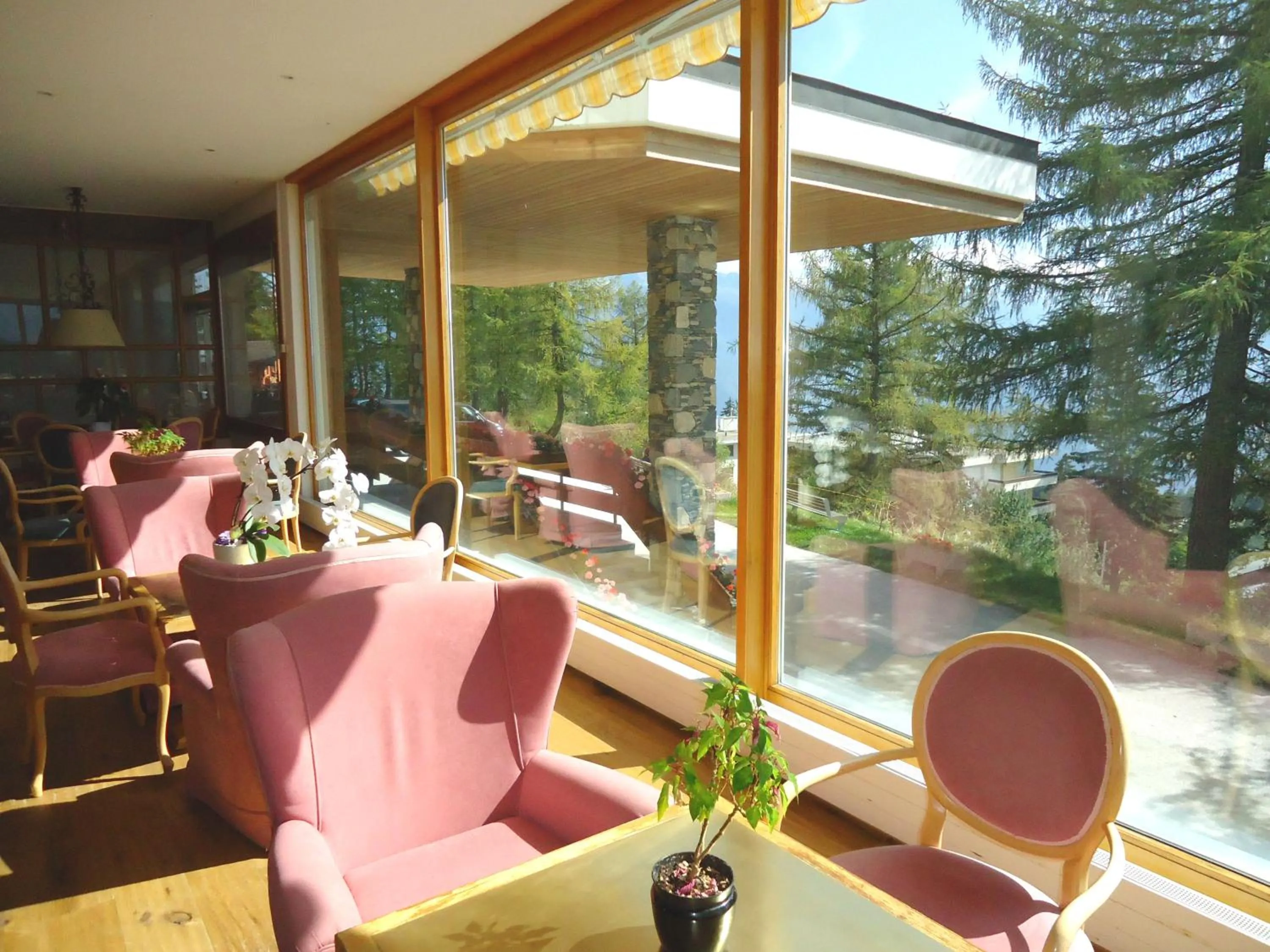 Restaurant/places to eat in Grand Hôtel du Parc