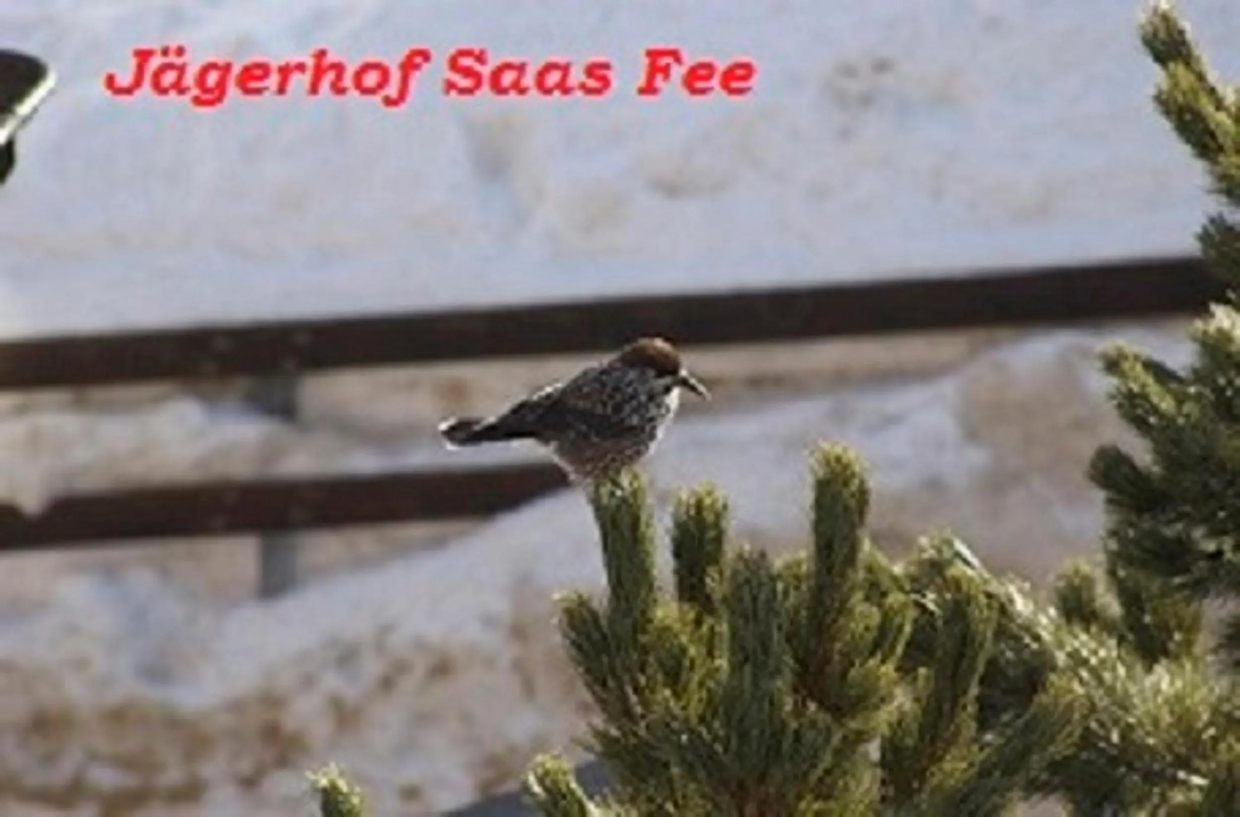 Winter in Hotel Garni Jägerhof