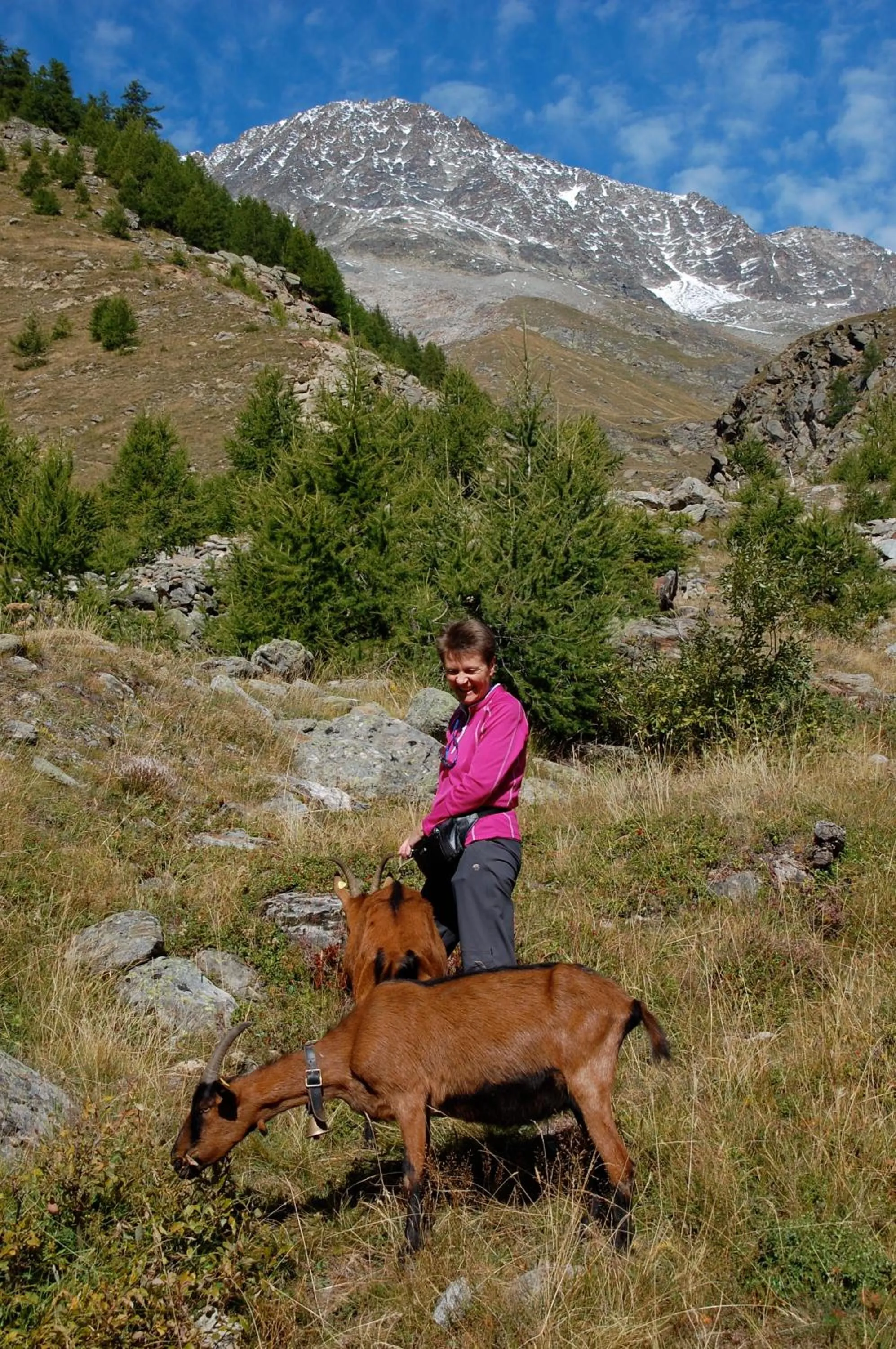 Summer in Hotel Garni Jägerhof