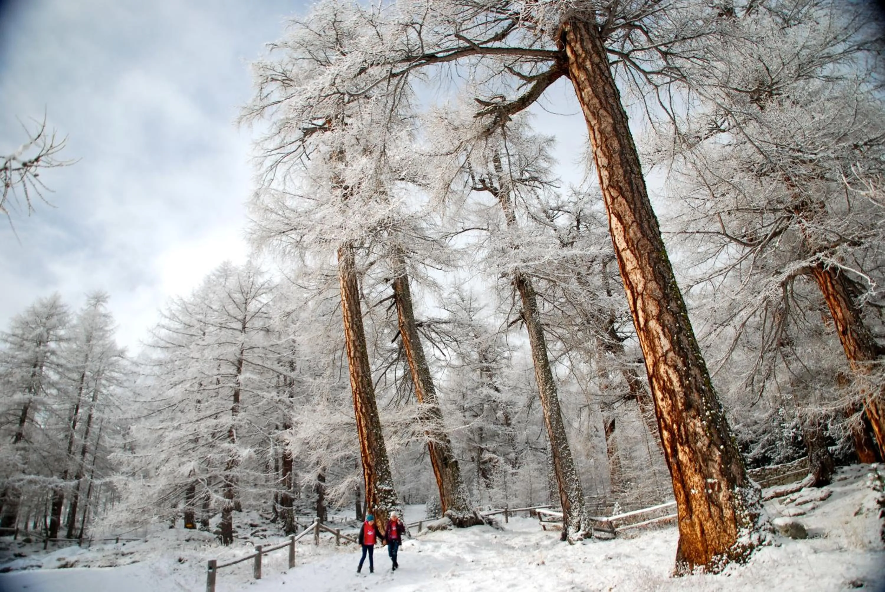 Off site in Hotel Garni Jägerhof