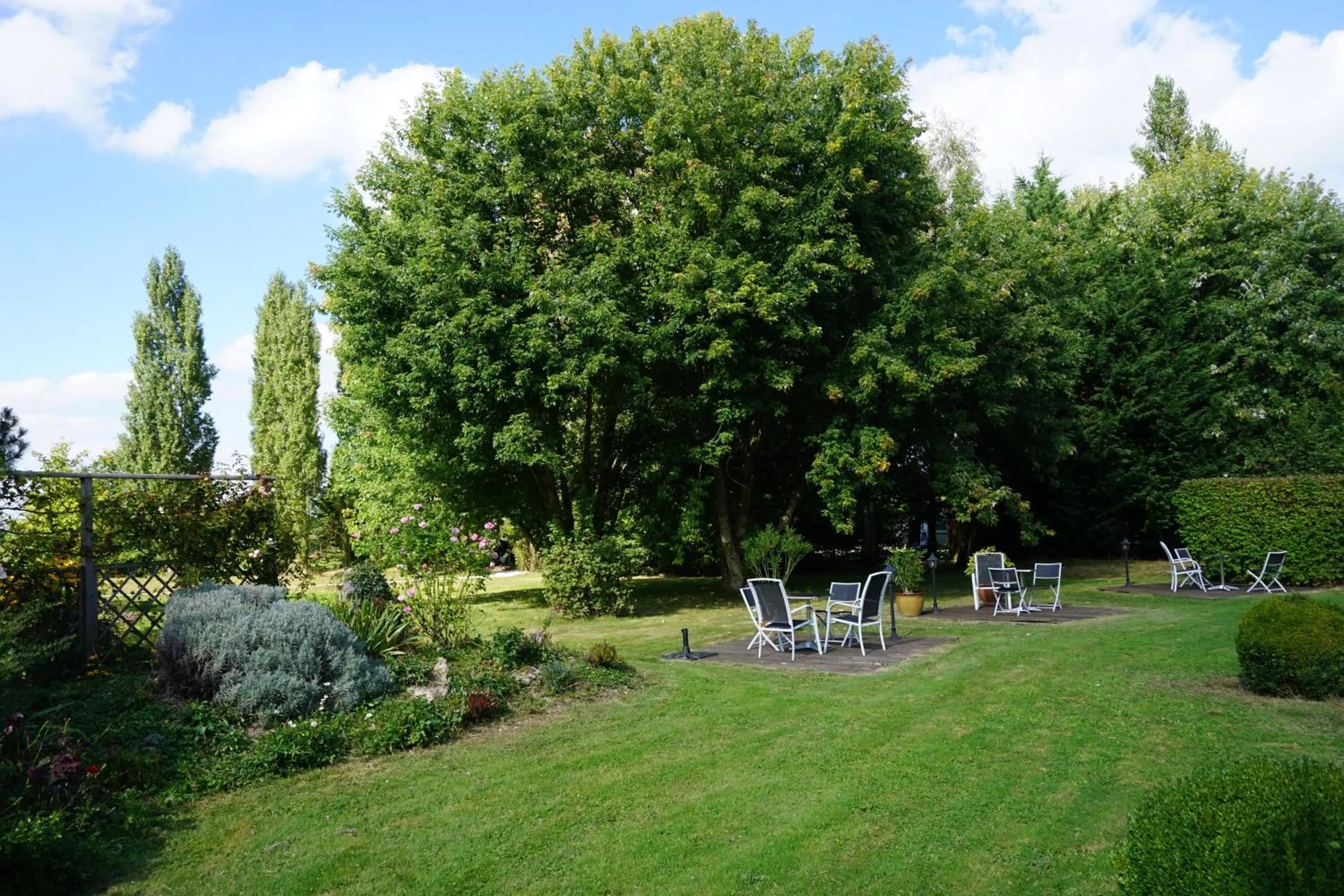 Garden in Domaine de L'Arbrelle