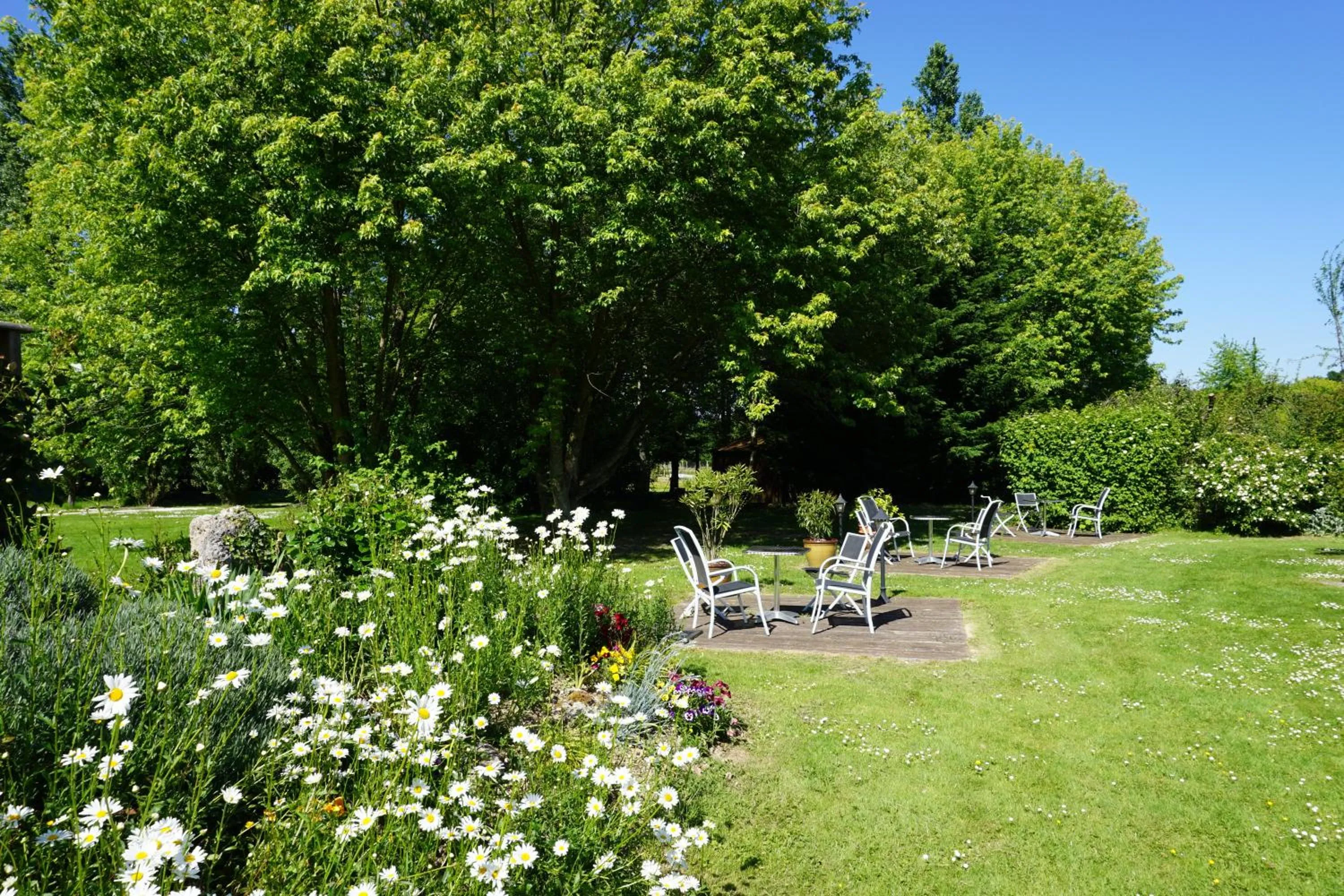 Garden in Domaine de L'Arbrelle
