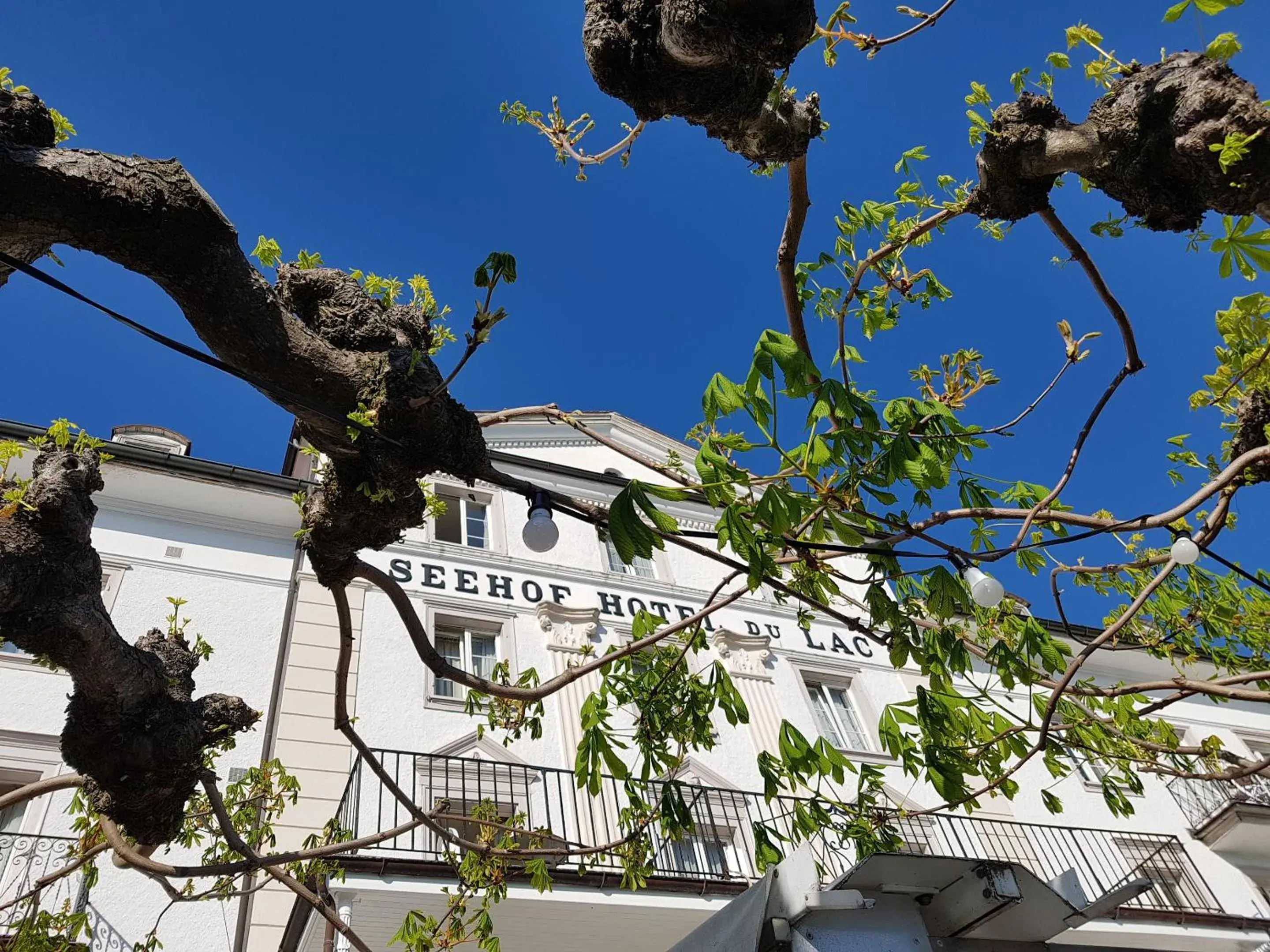 Property building in Seehof Hotel Du Lac Property building in Seehof Hotel Du Lac