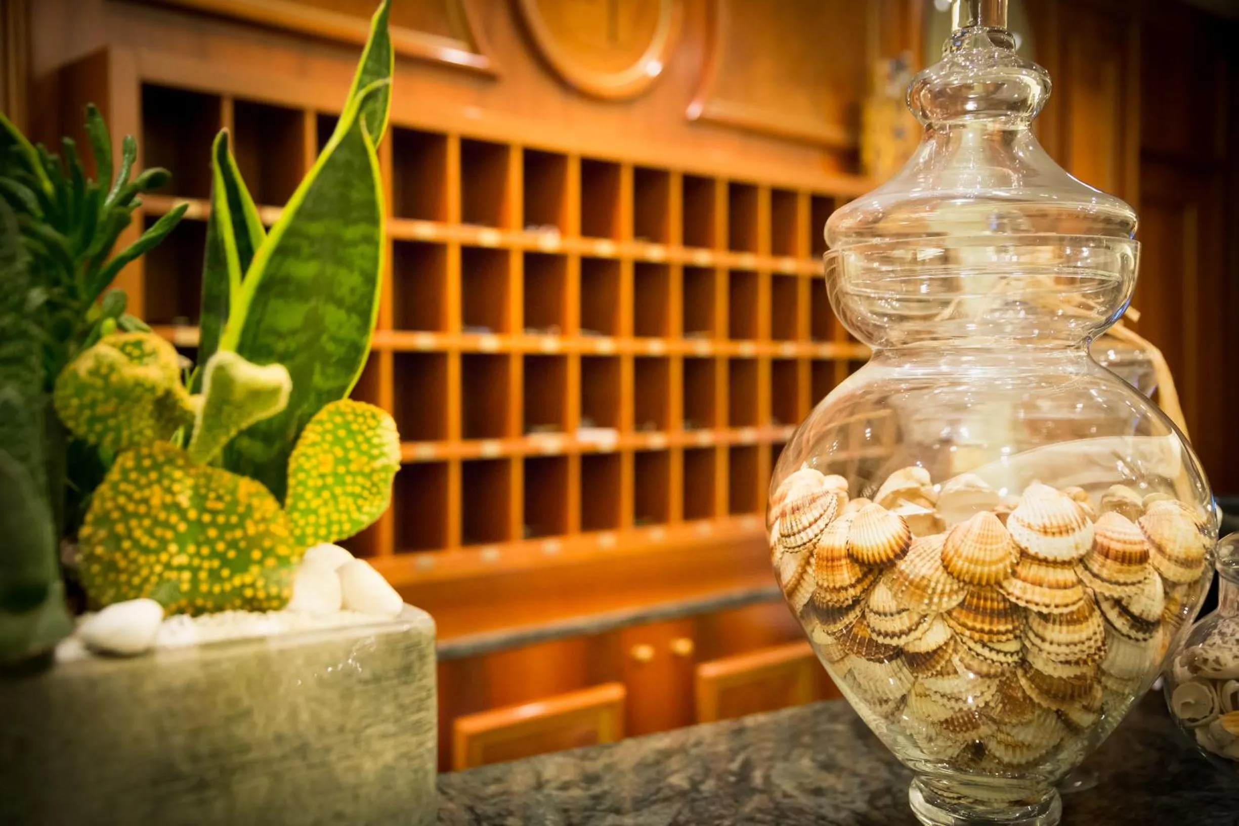 Lobby or reception in Hotel Tritone