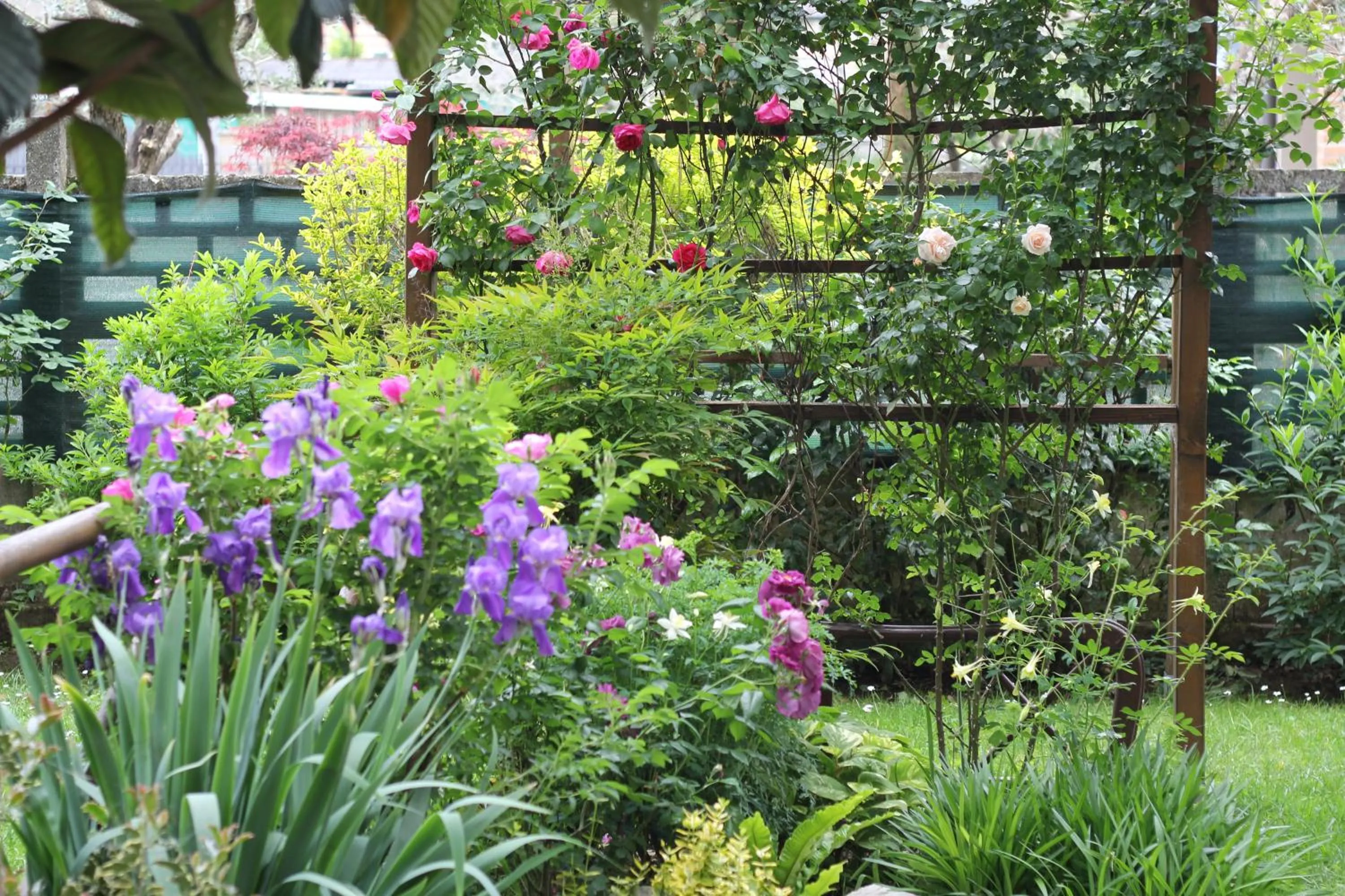 Garden in Il Giardino