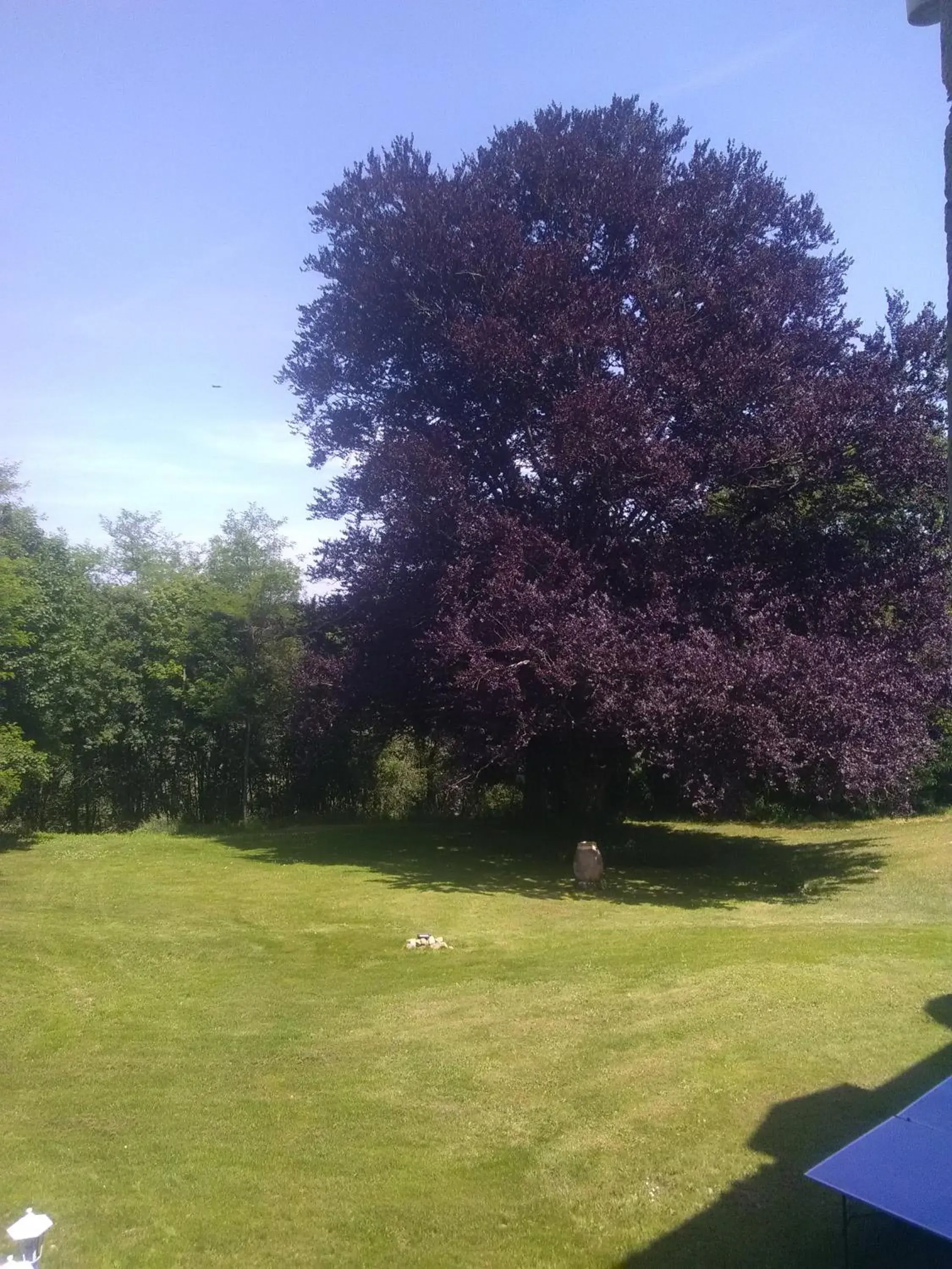 Family Room with Garden View - single occupancy in Pierre Deluen Domaine de la Grange de Quaire Family Room with Garden View - single occupancy in Pierre Deluen Domaine de la Grange de Quaire