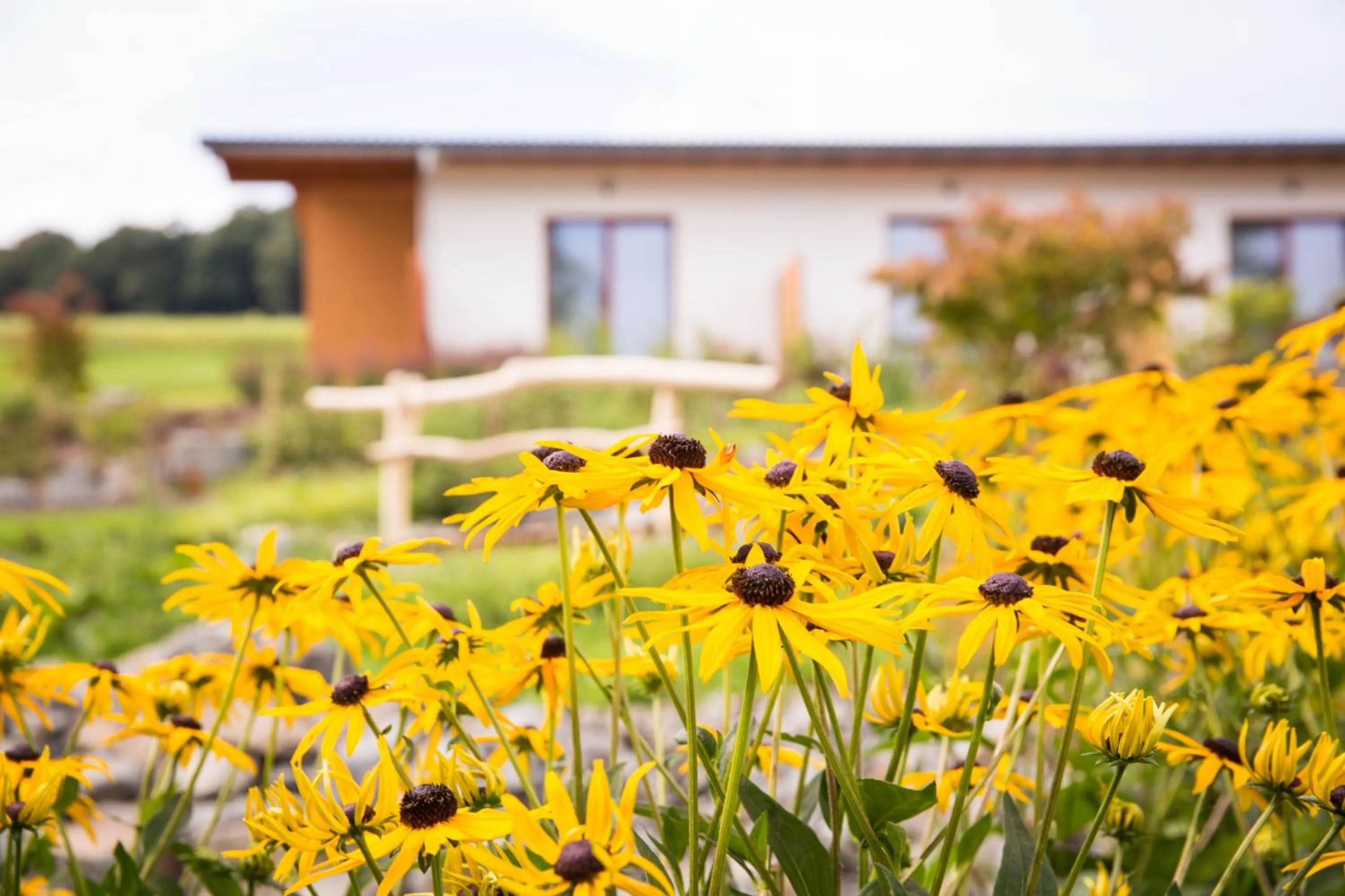 Property building in Hotel Zur-Borke