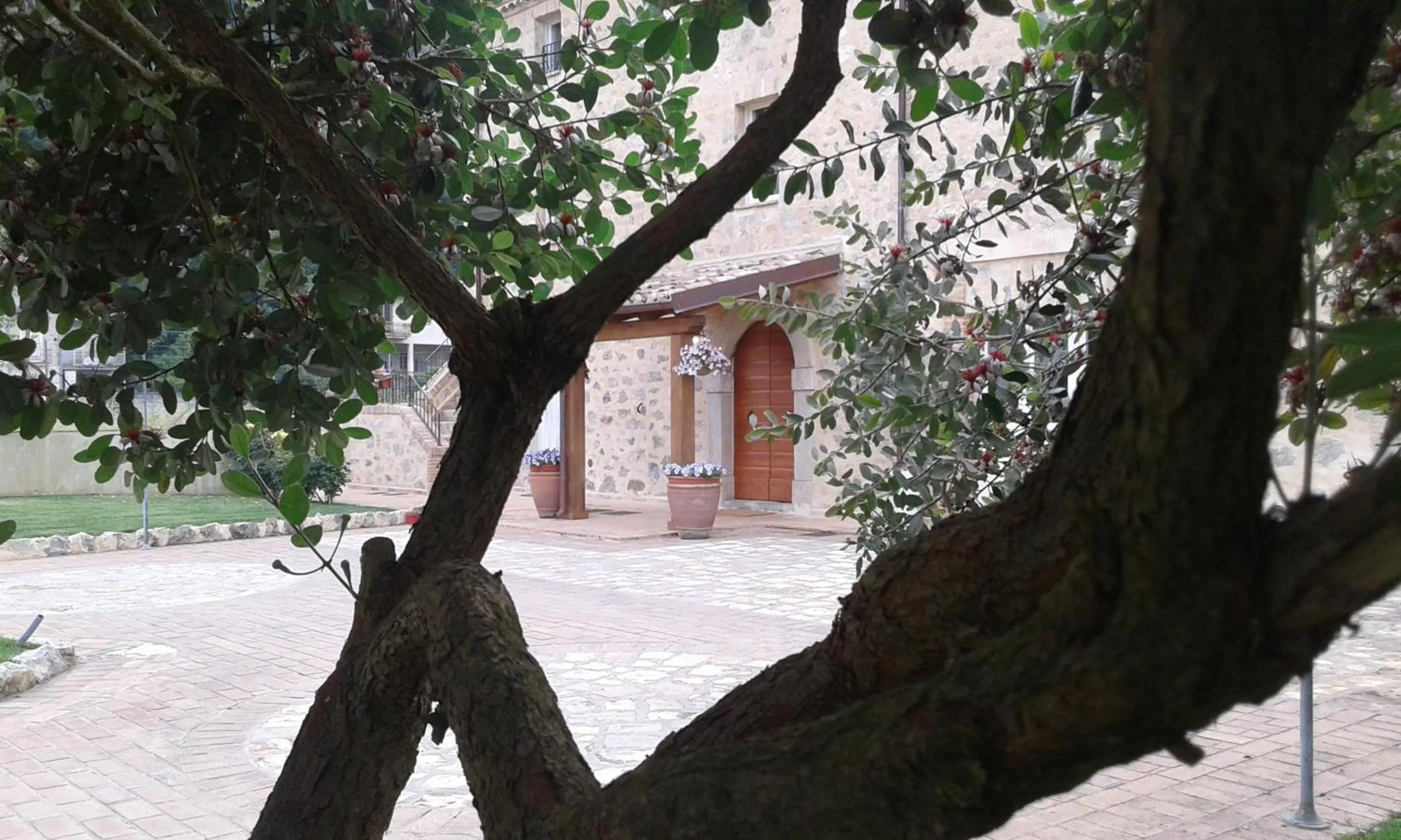 Property building in Aia Antica