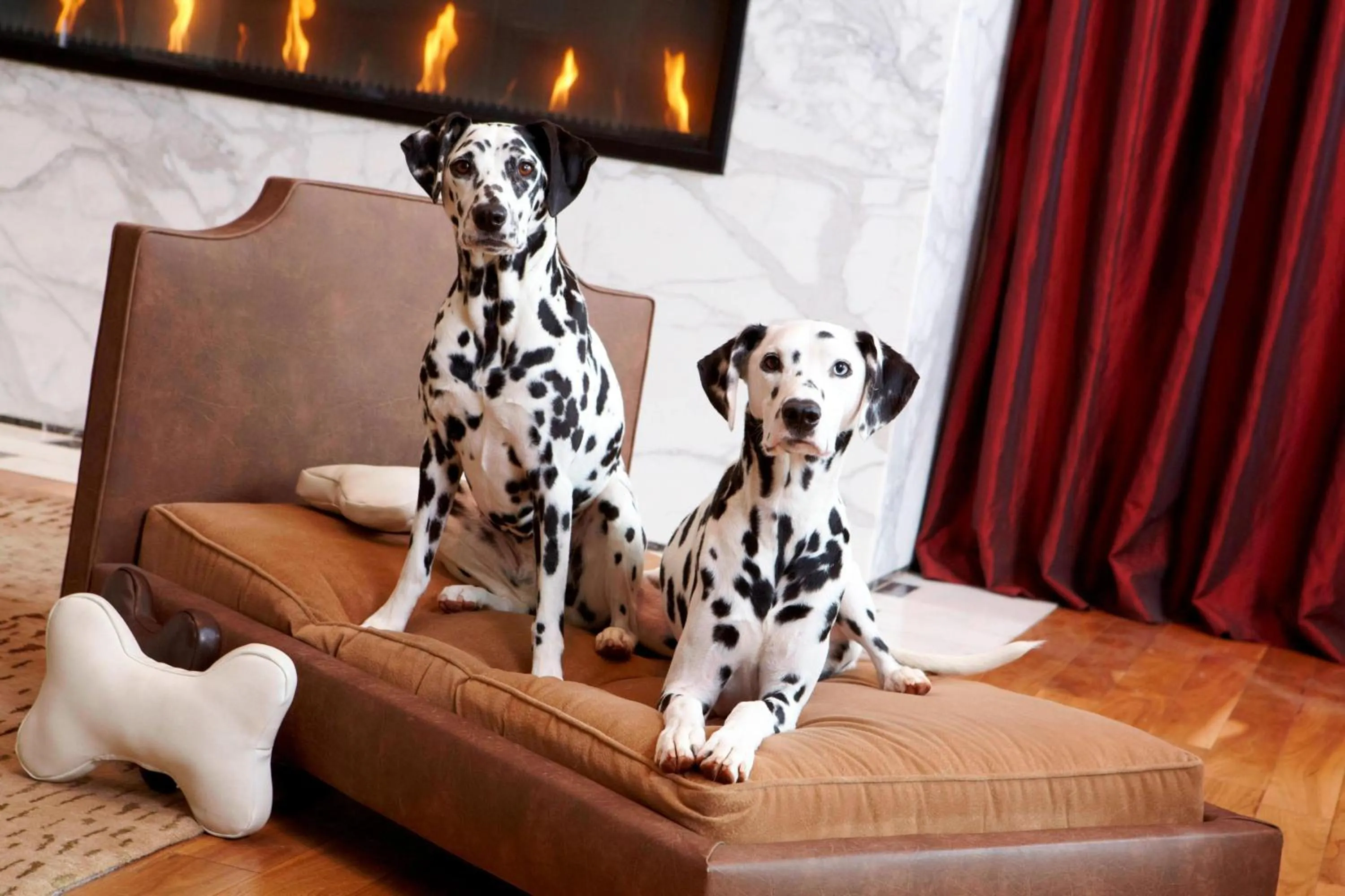 Other in Renaissance Atlanta Midtown Hotel