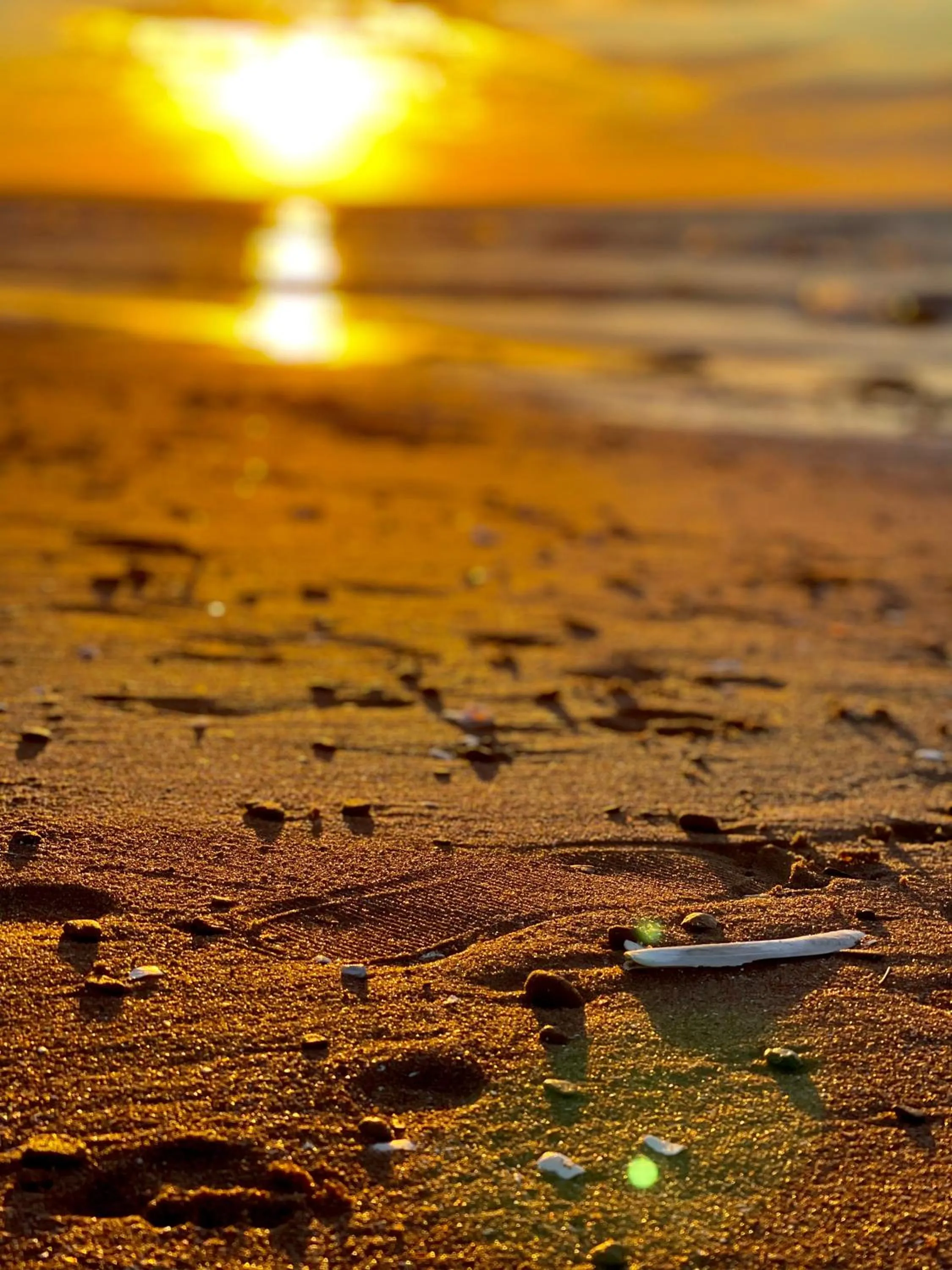 The Loft at Charlotte's Rose