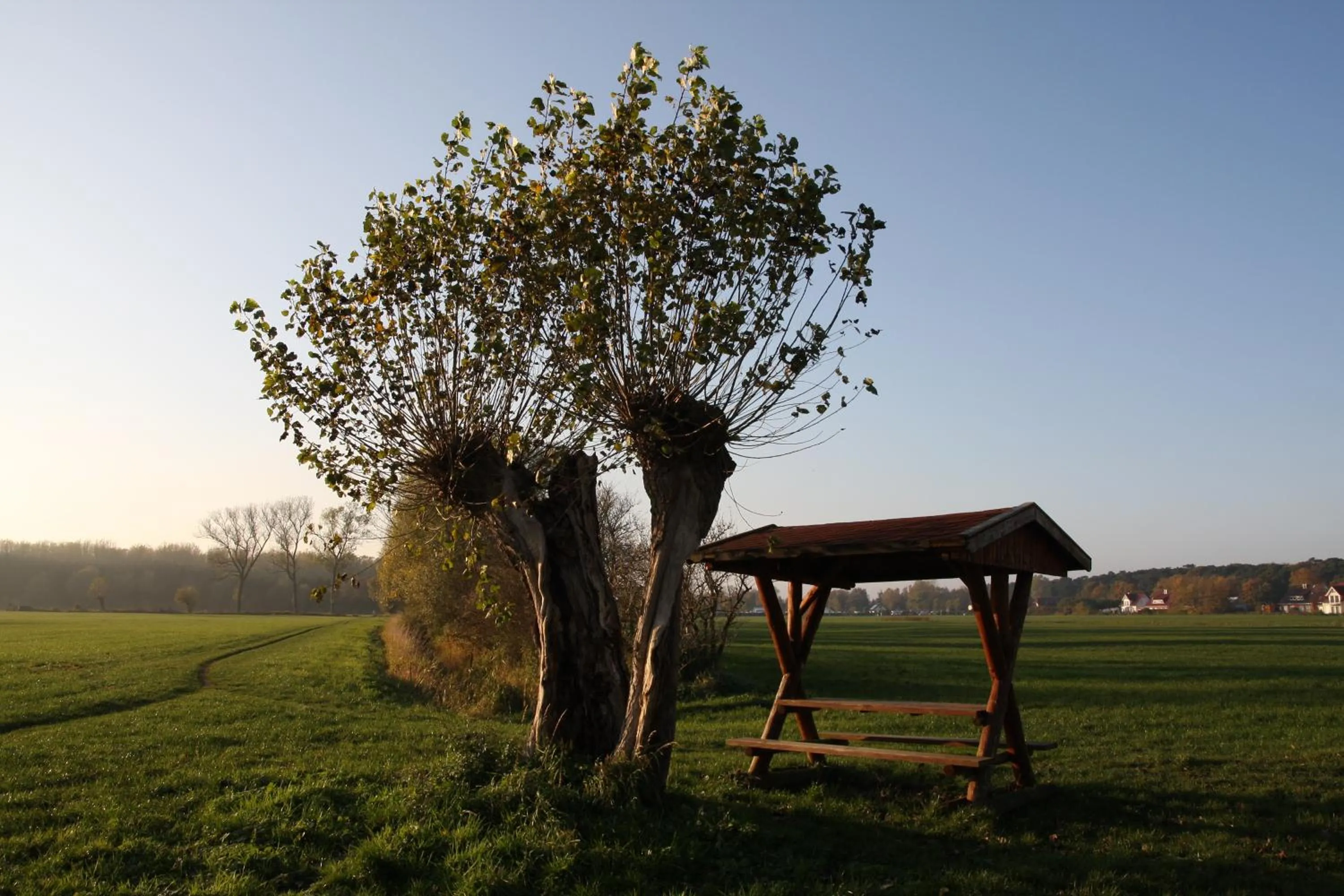 Area and facilities in Hotelanlage Tarnewitzer Hof
