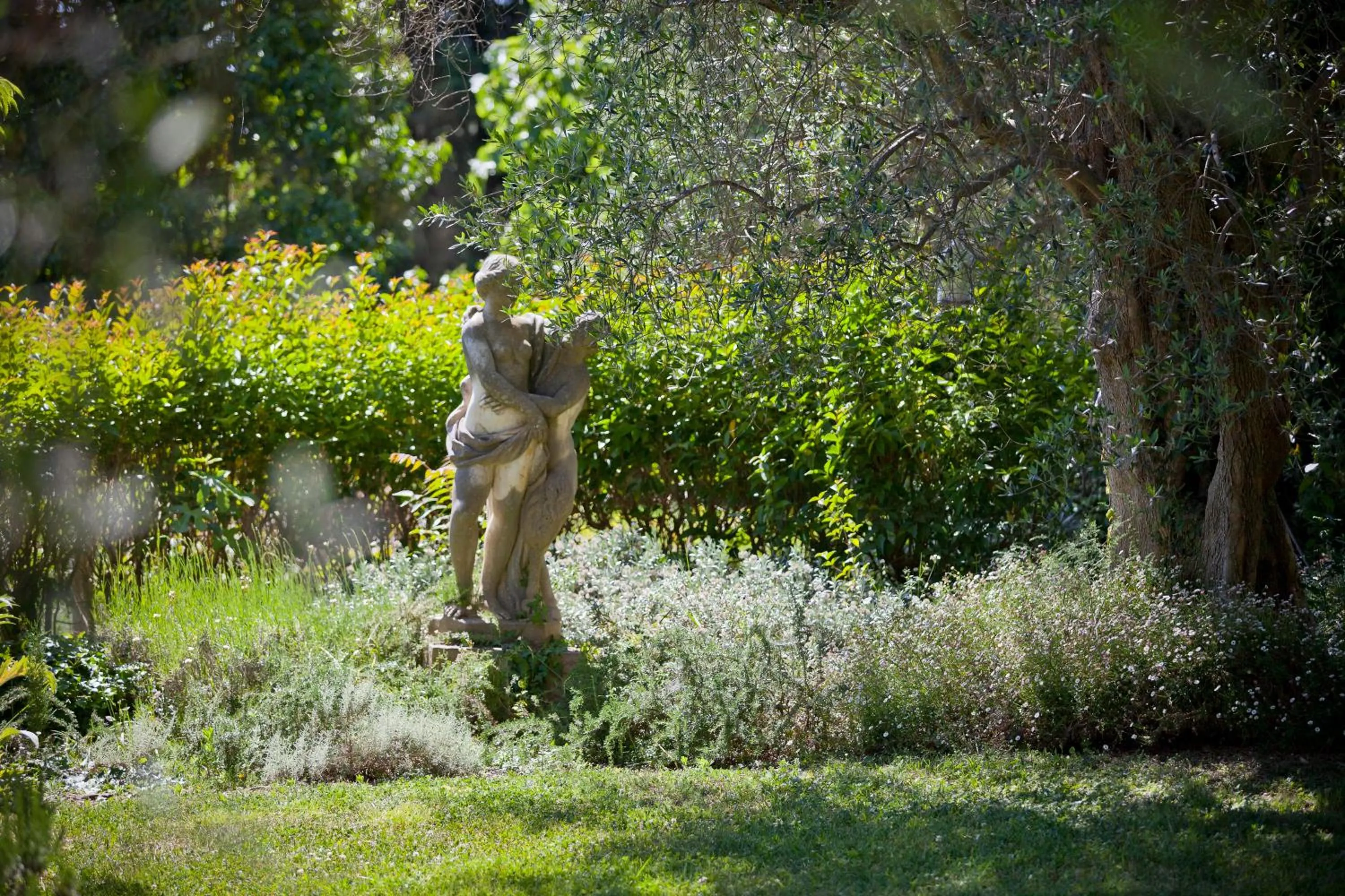 Garden in Le Manoir de L'Étang
