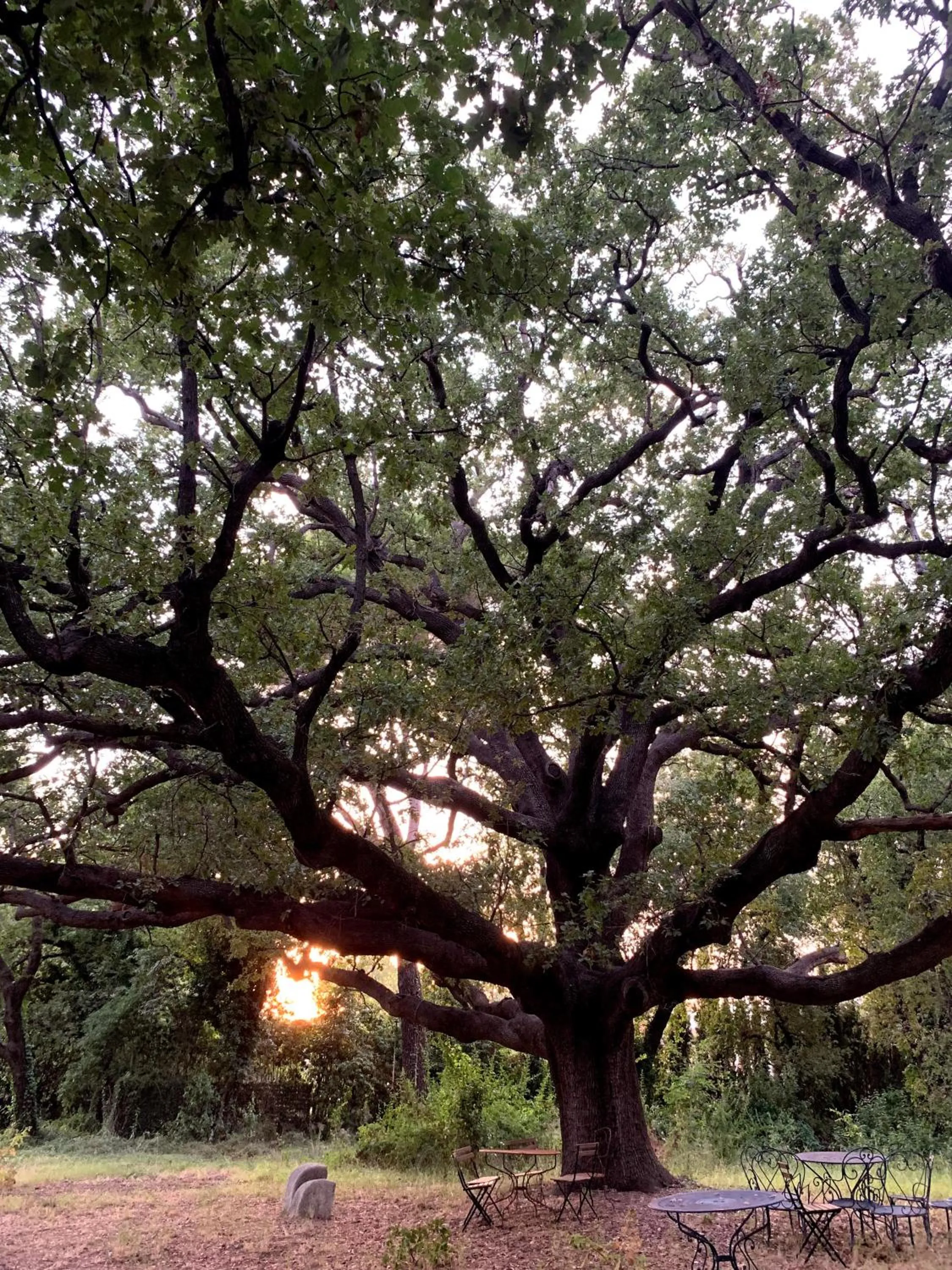 Le Manoir de L'Étang