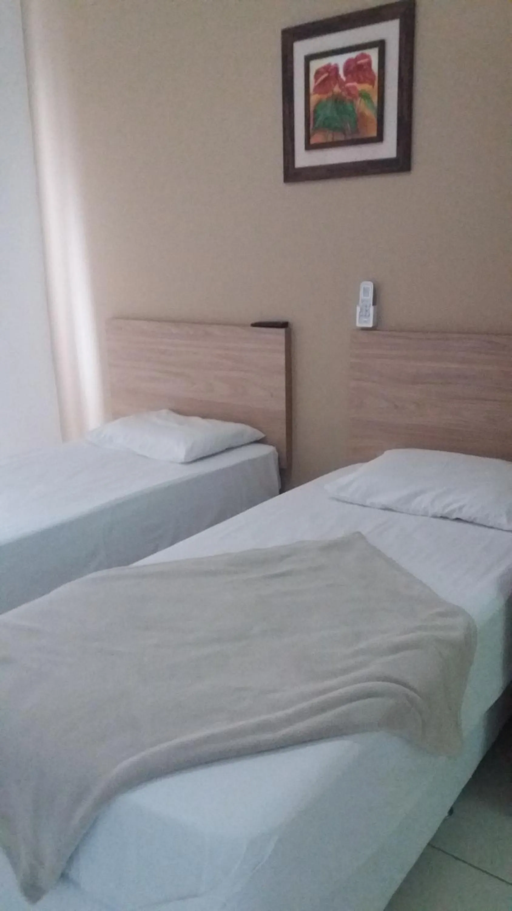 Double Room - single occupancy in Hotel Vento Sul