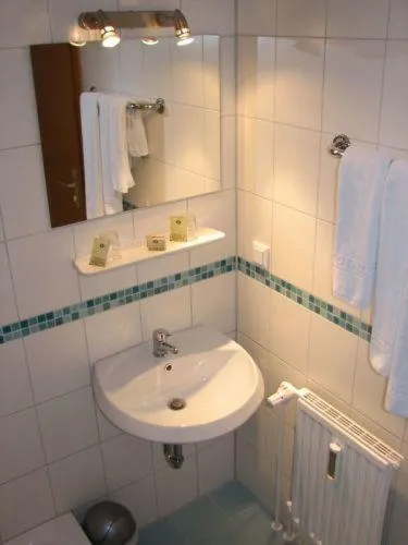 Shower in Rheinauer Hof - bed & breakfast