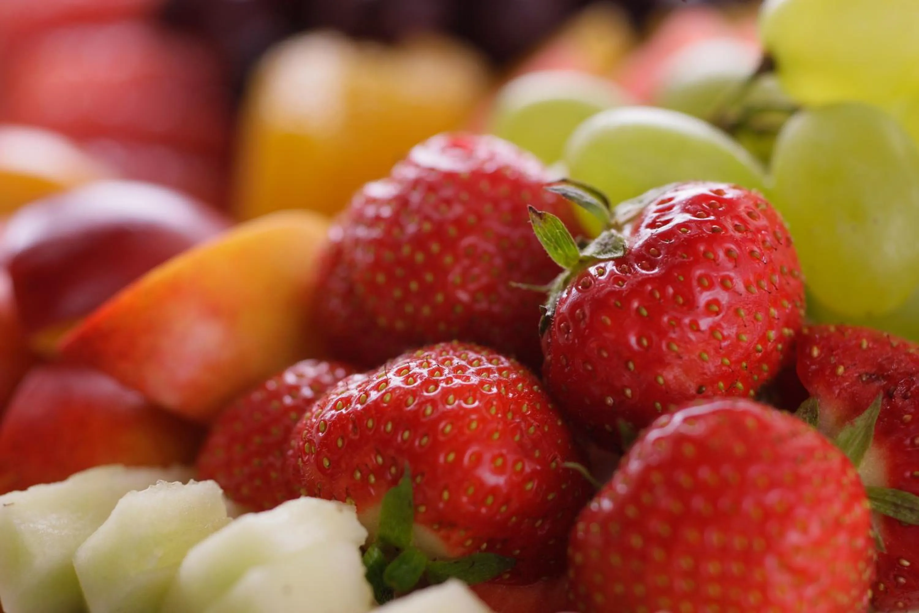 Food close-up in allgäu resort