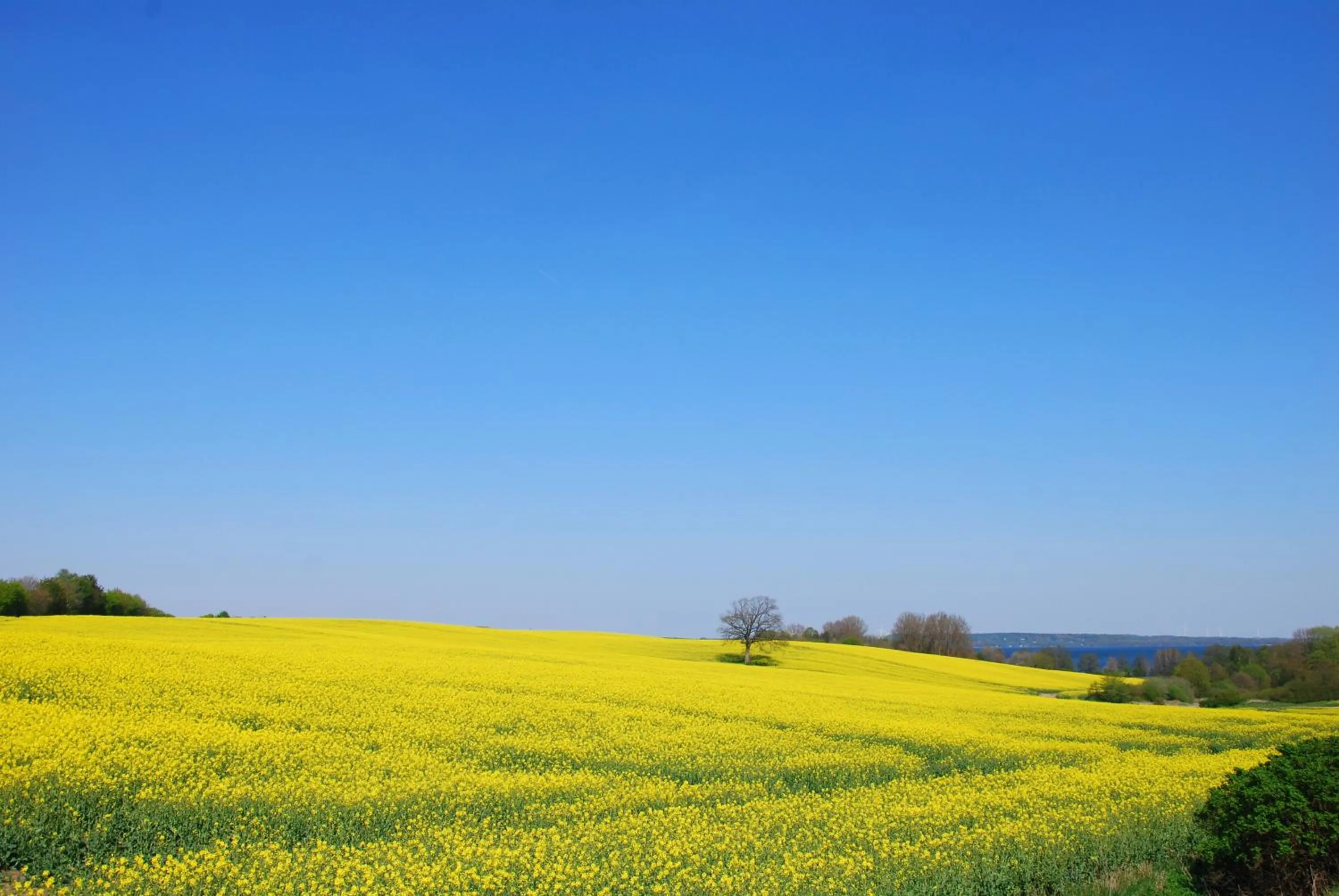 Natural landscape in Meine ECKE 1