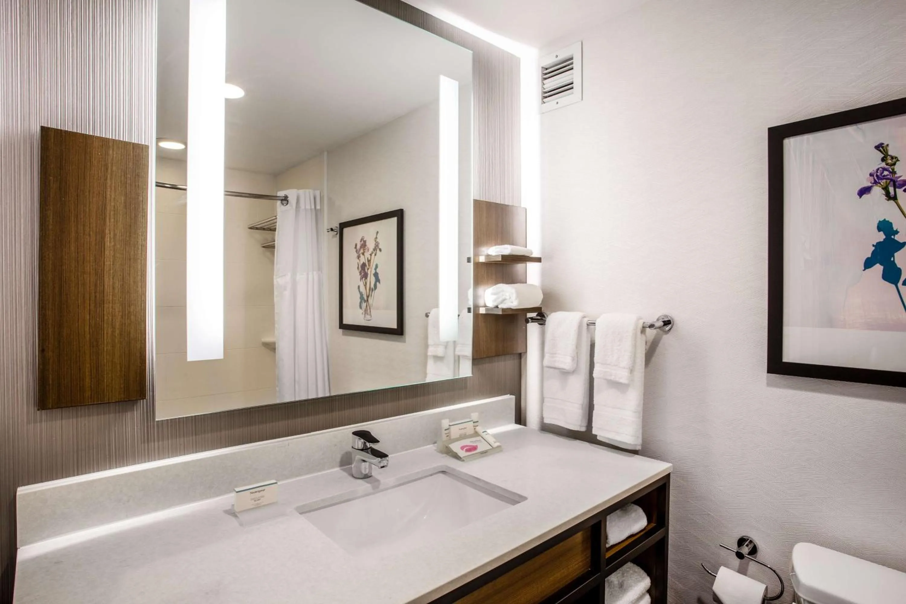 Toilet in Hilton Garden Inn Nashville Smyrna