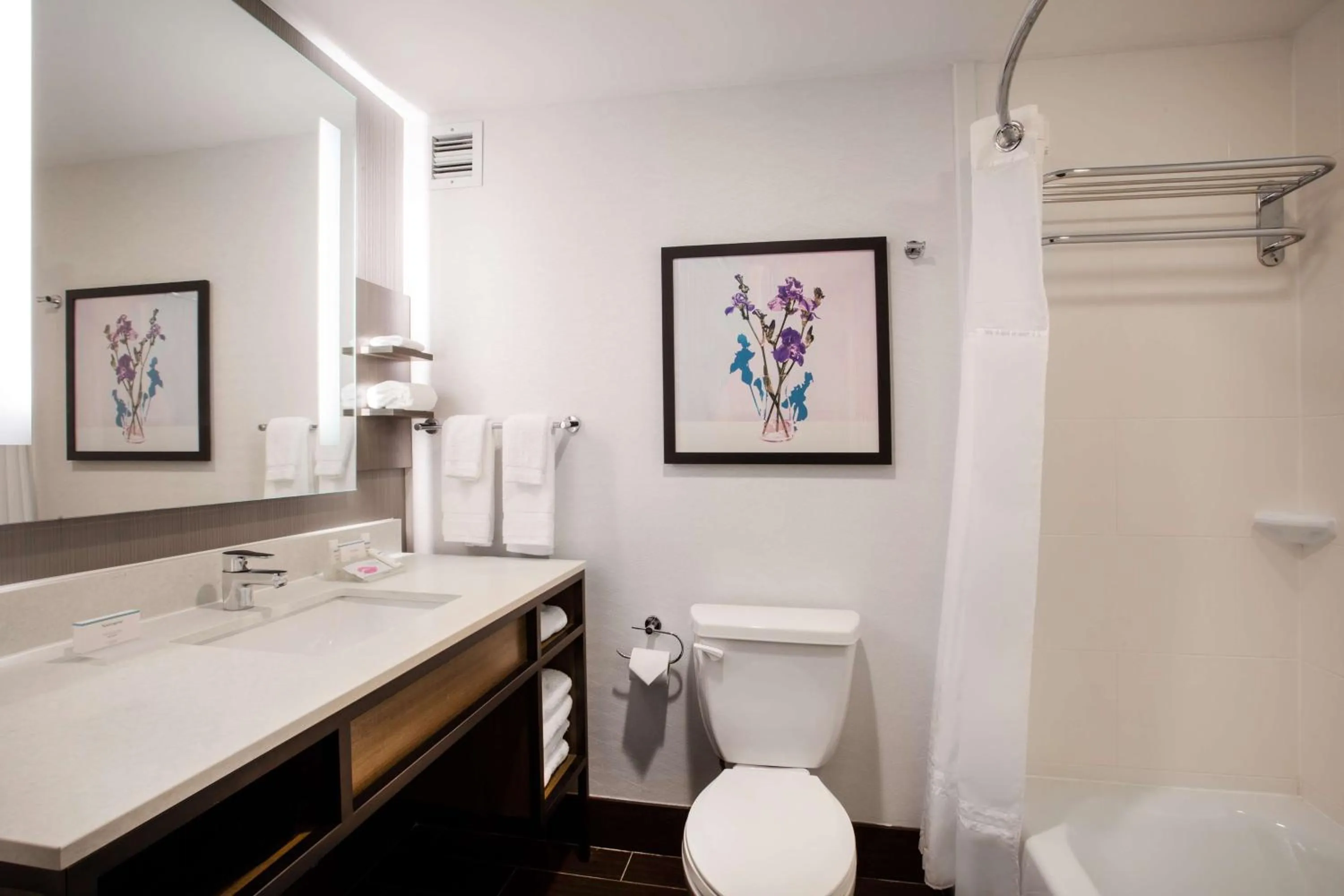 Toilet in Hilton Garden Inn Nashville Smyrna