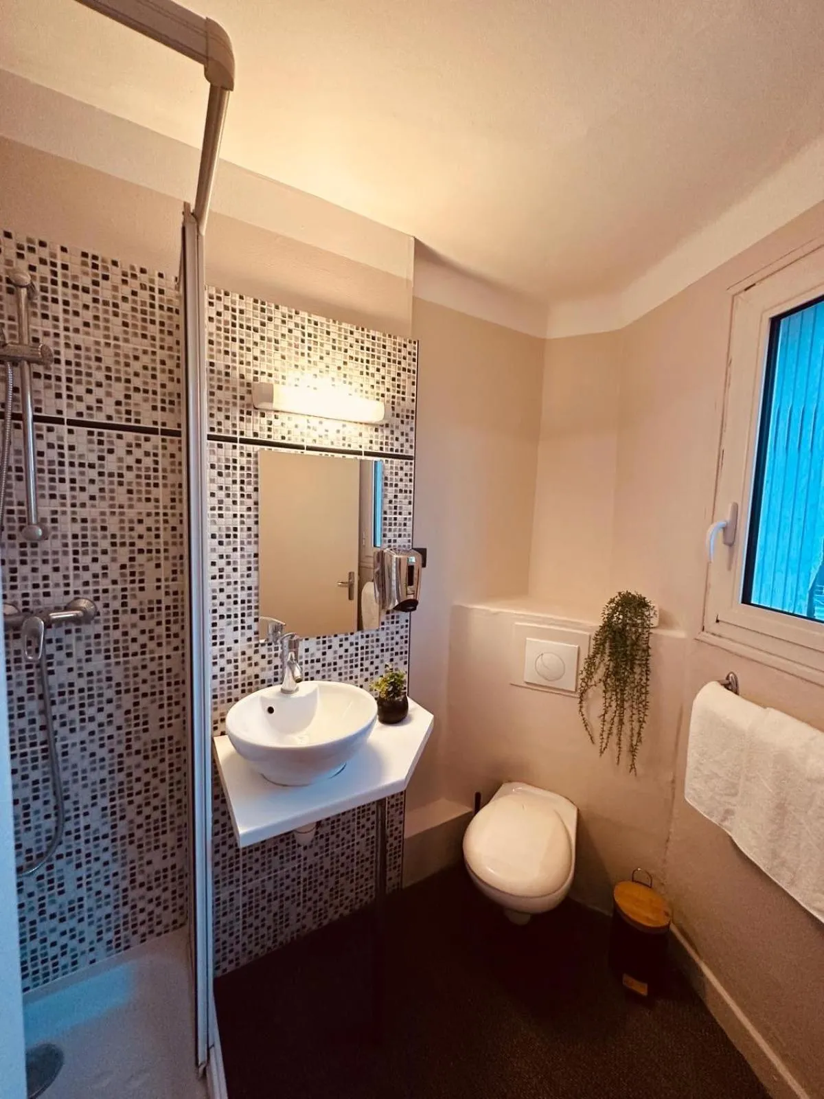 Hôtel Anatole France