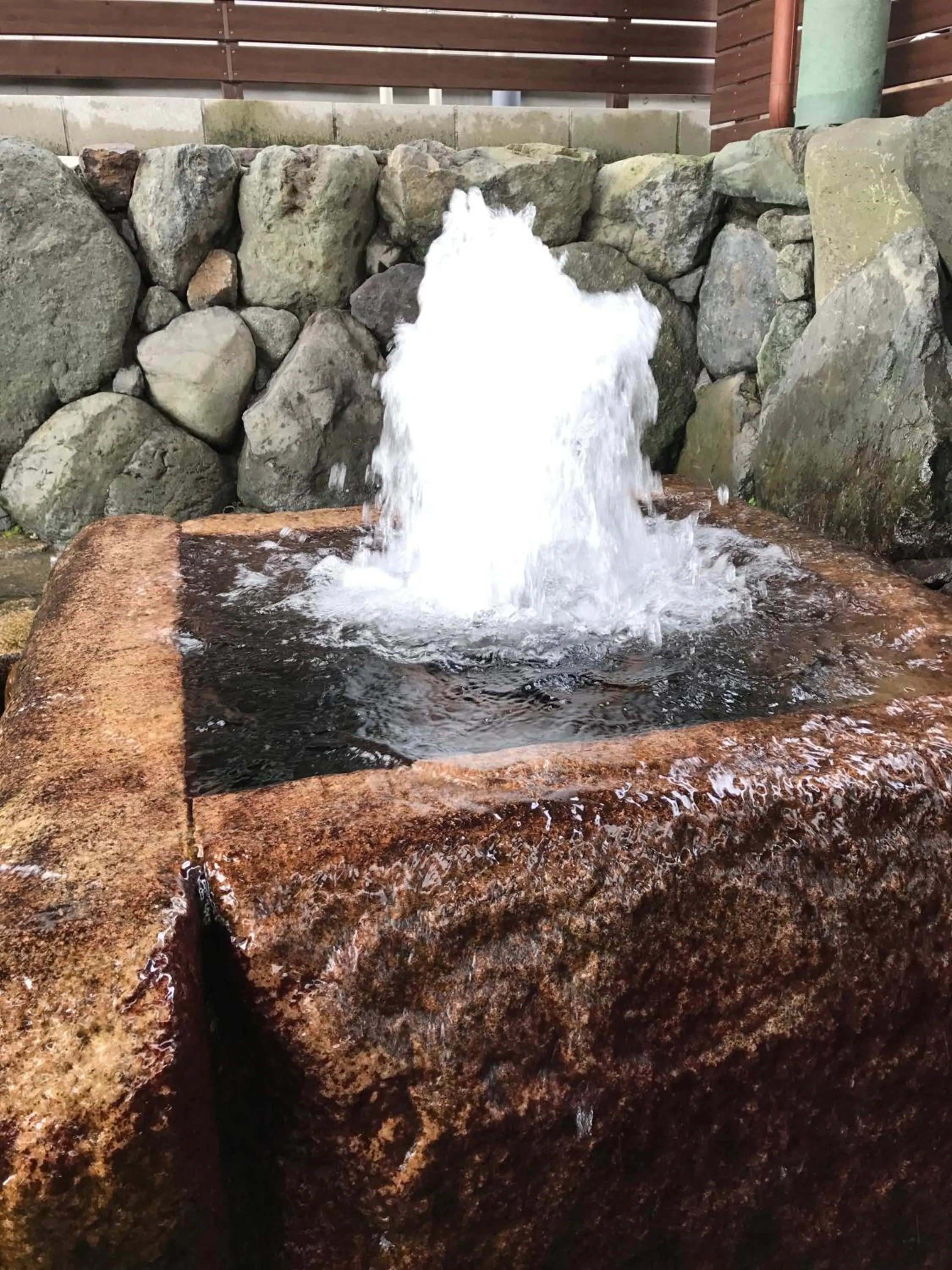 Off site in Ogaki Forum Hotel