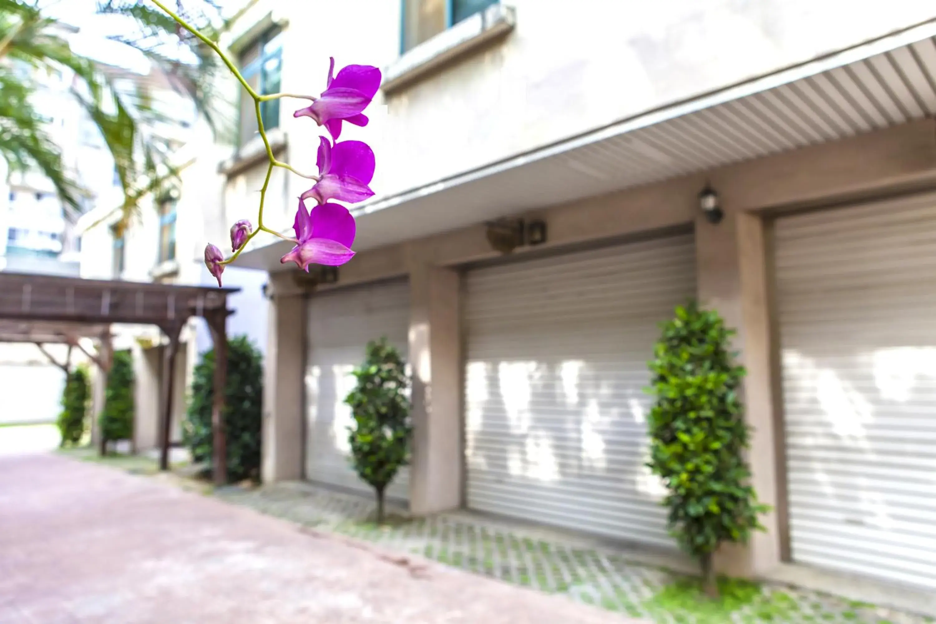 Property building in 楓采行館 Property building in 楓采行館