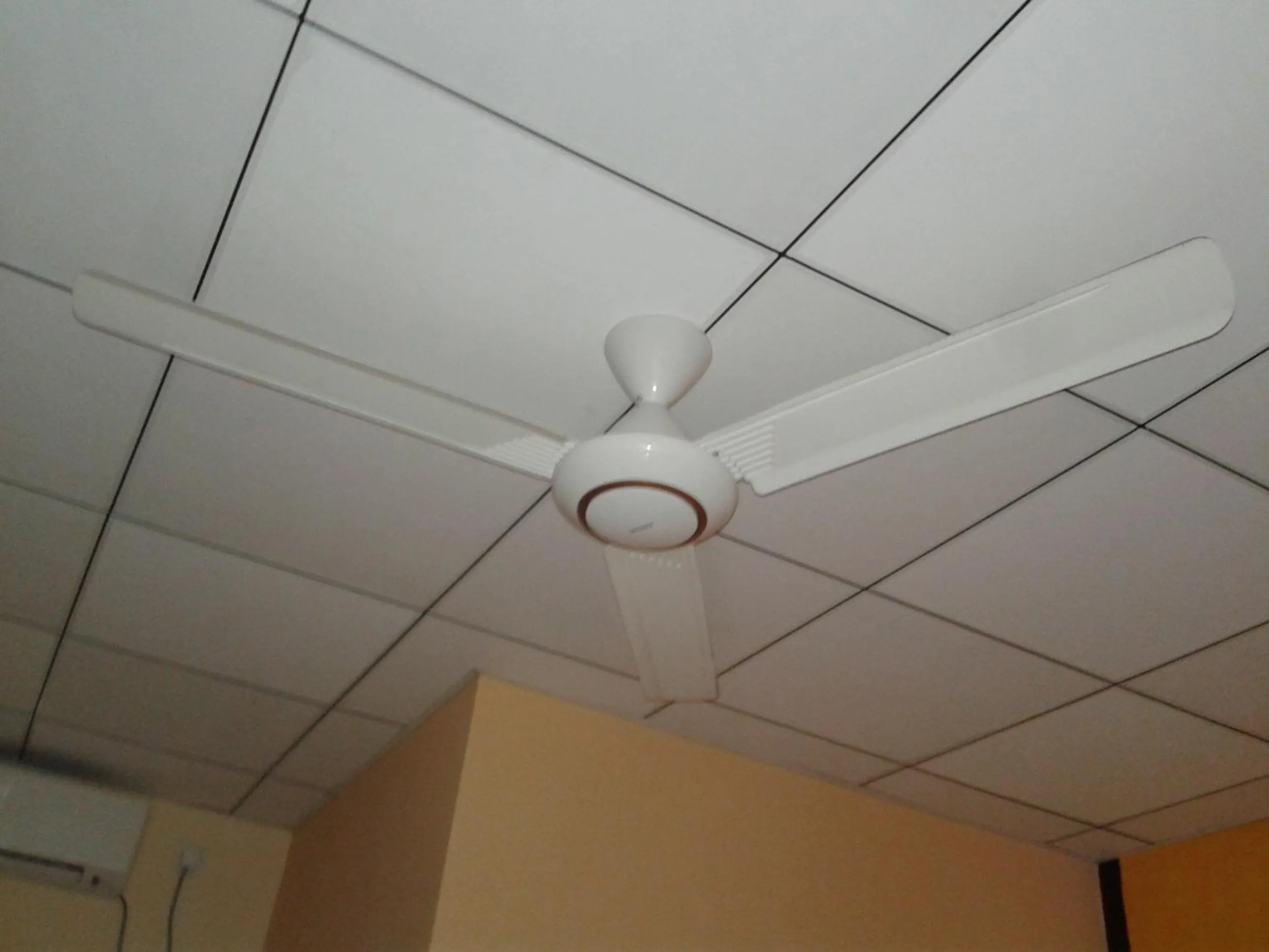 Standard Double Room in Wild View Stay