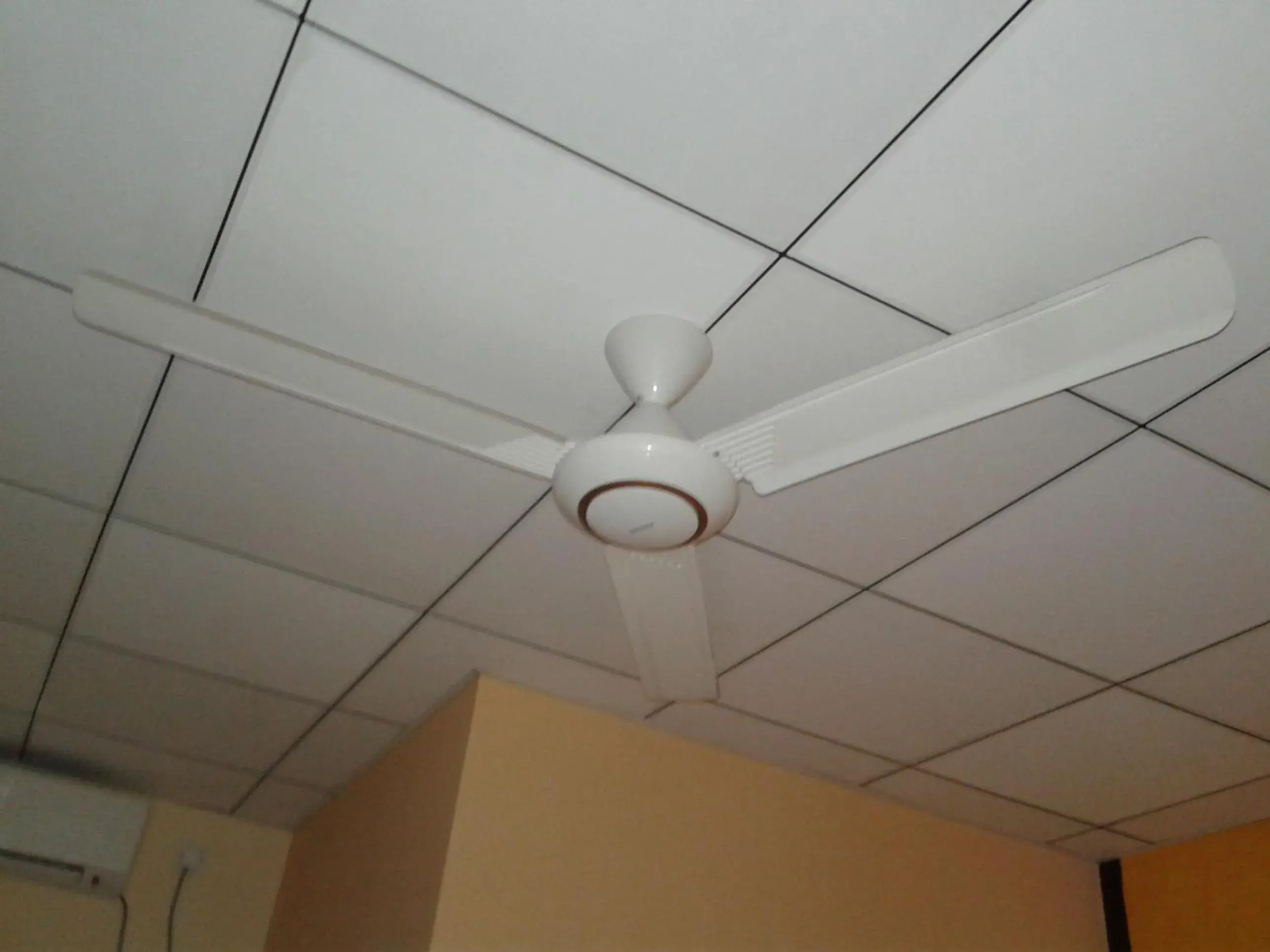 Standard Double Room in Wild View Stay Standard Double Room in Wild View Stay