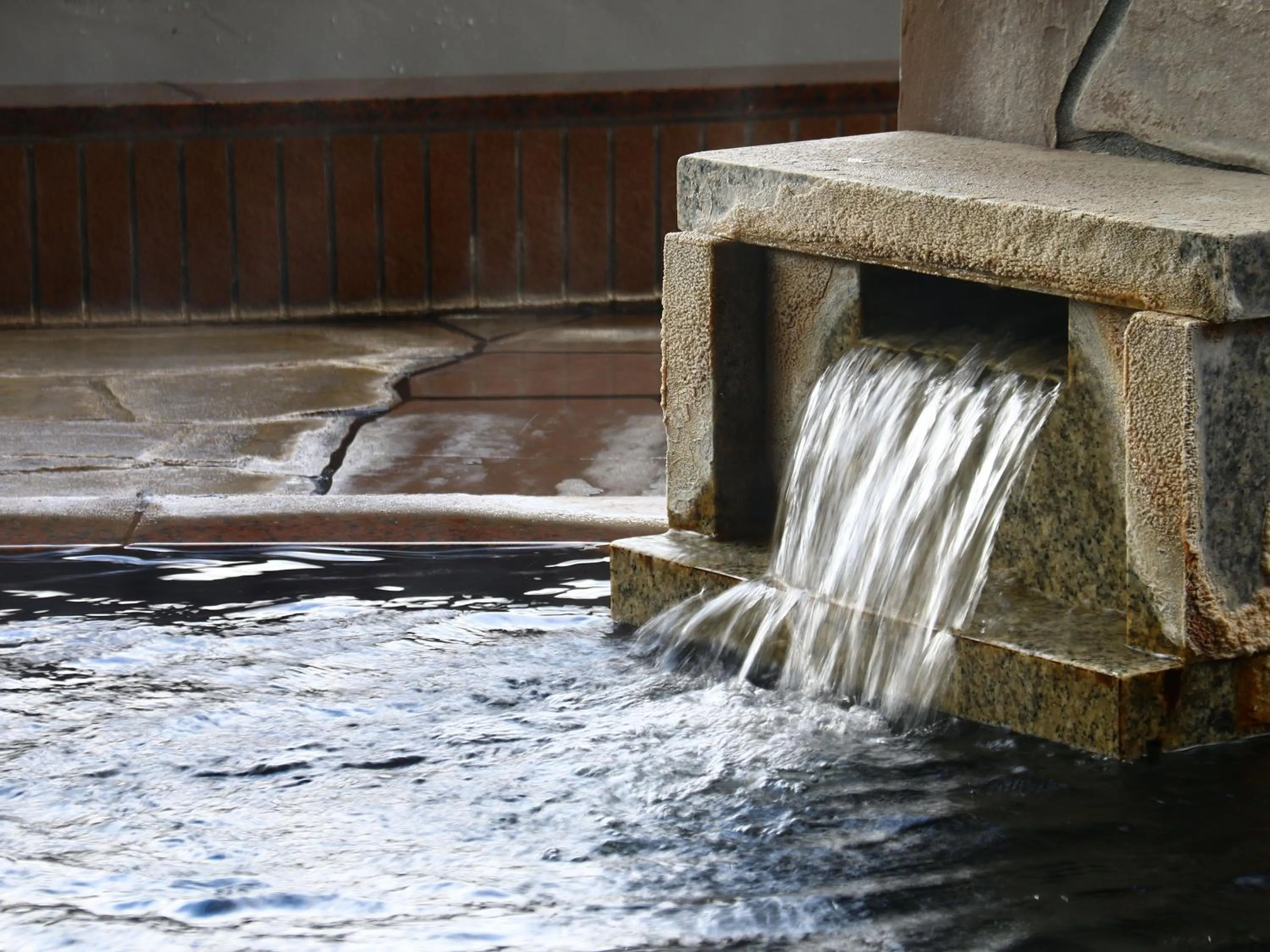 Hot Spring Bath in Hotel Omodaka