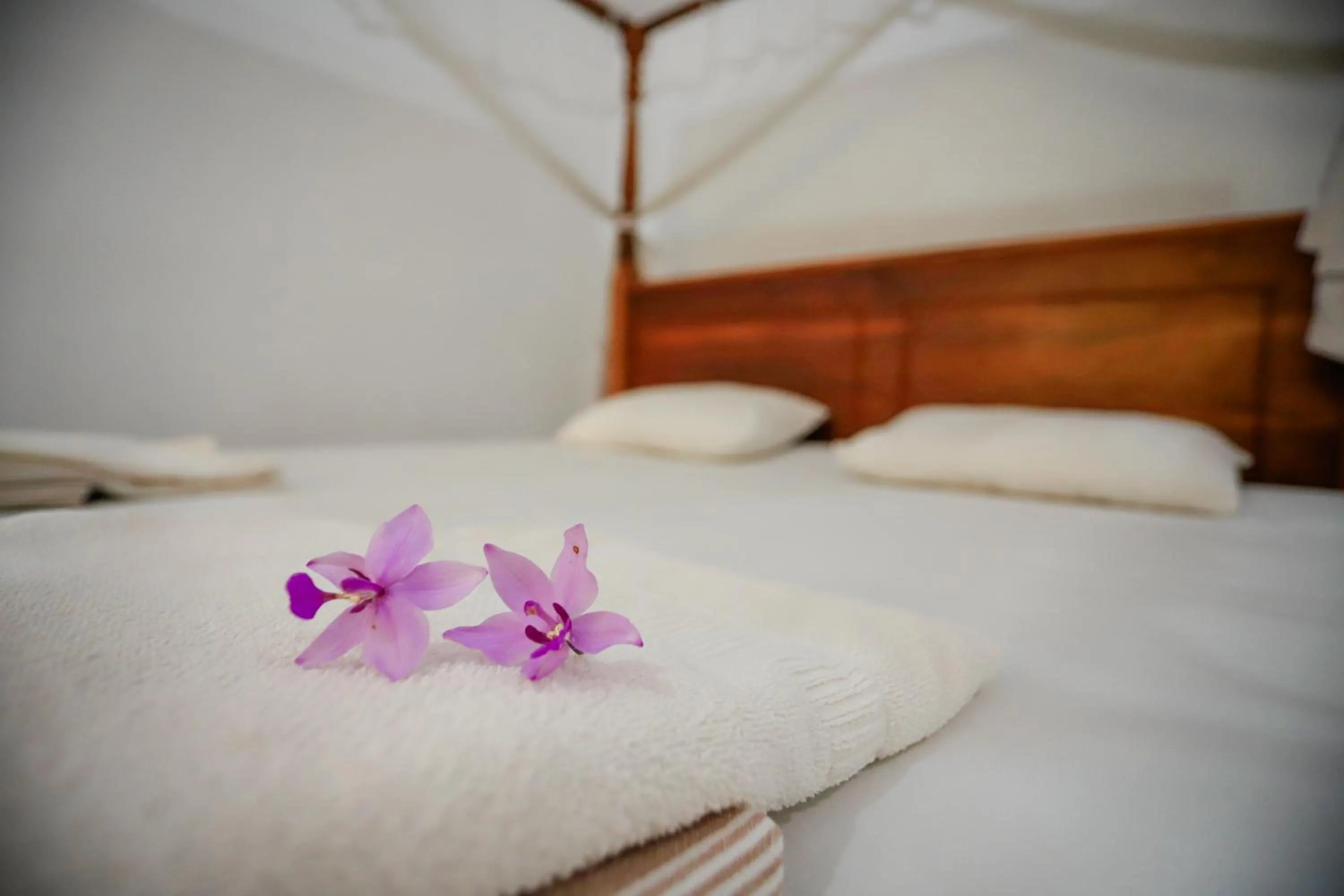 Serene Home Stay