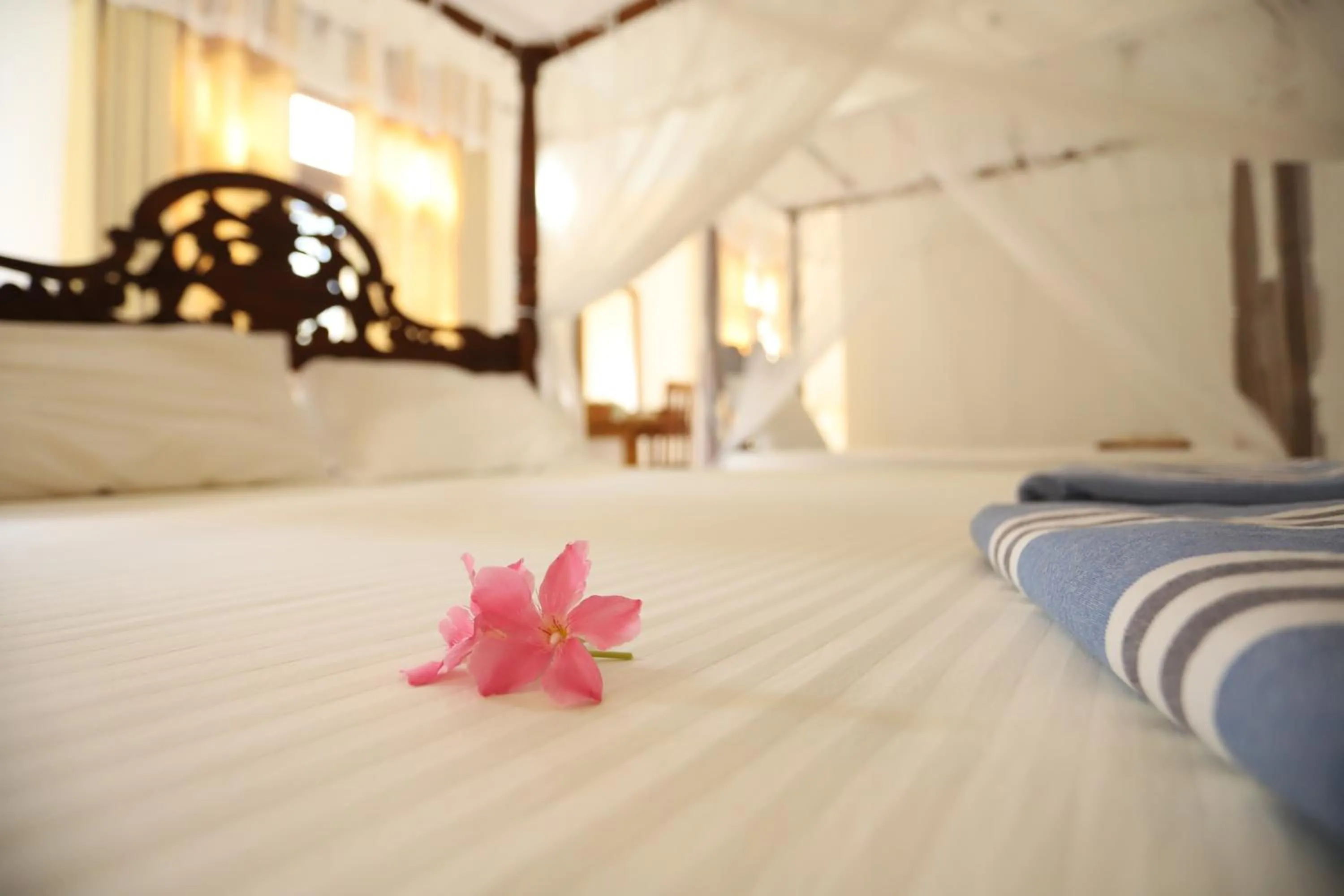 Deluxe Family Room in Serene Home Stay