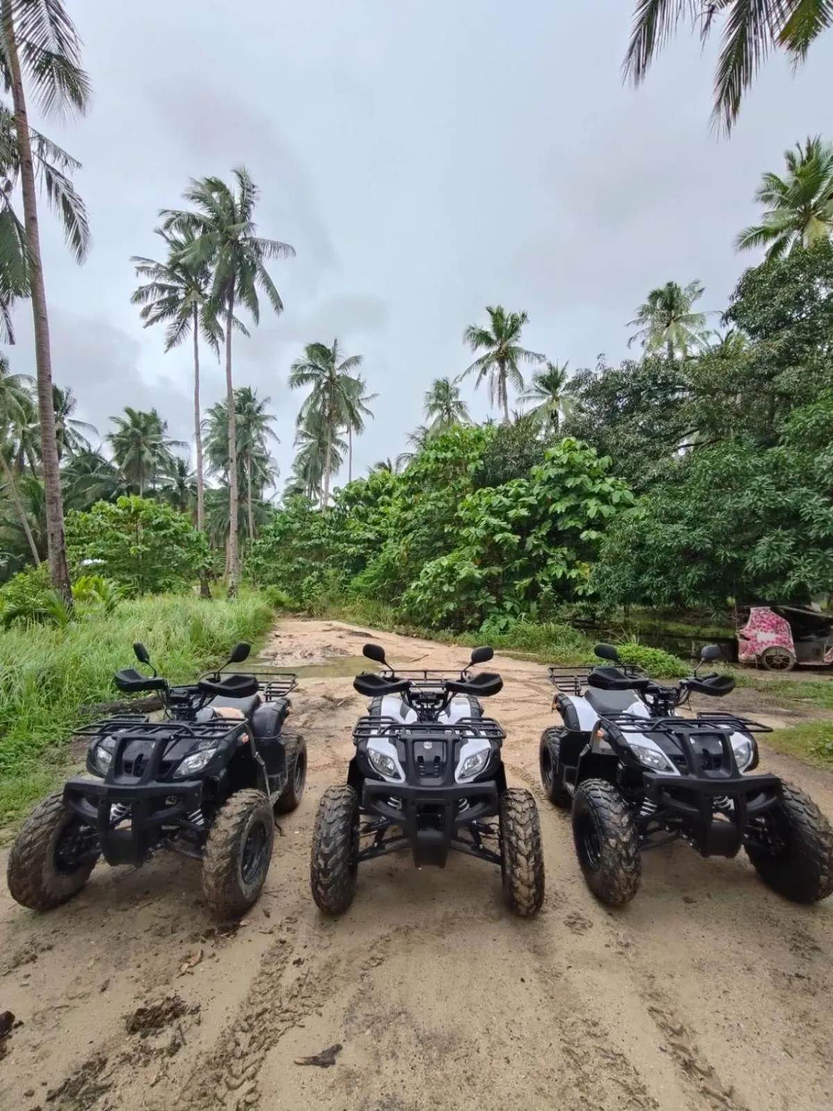 Prince John Beachfront Eco Bungalows and Restaurant