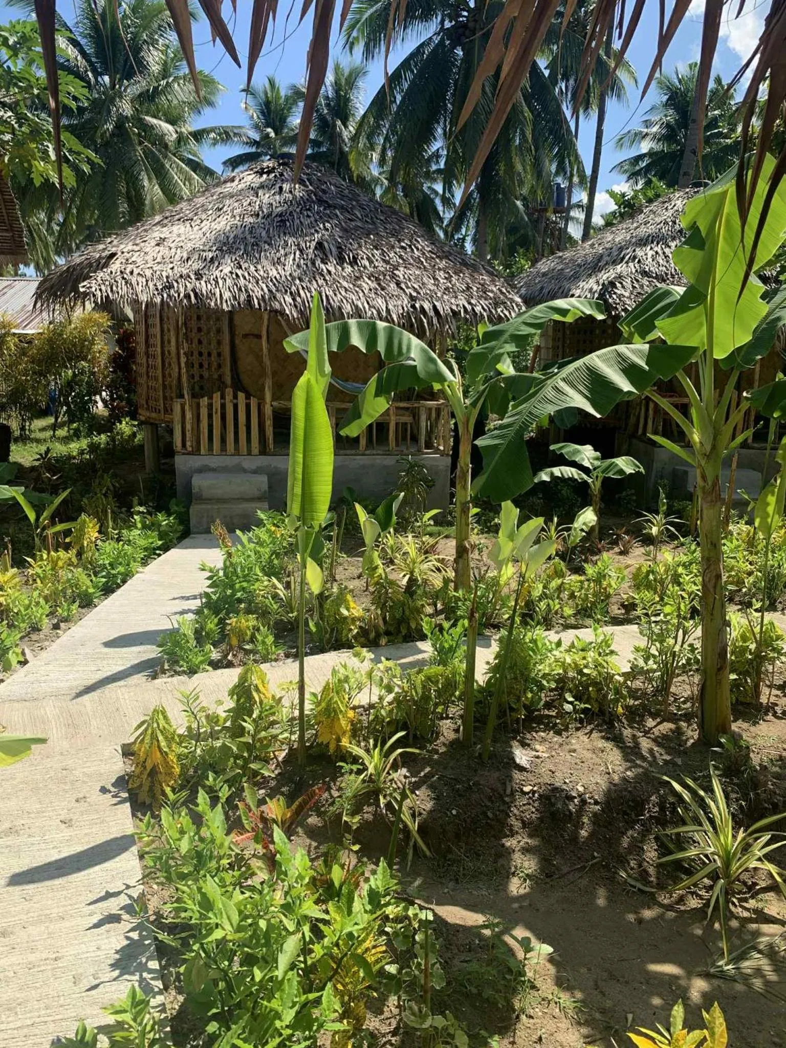 Prince John Beachfront Eco Bungalows and Restaurant