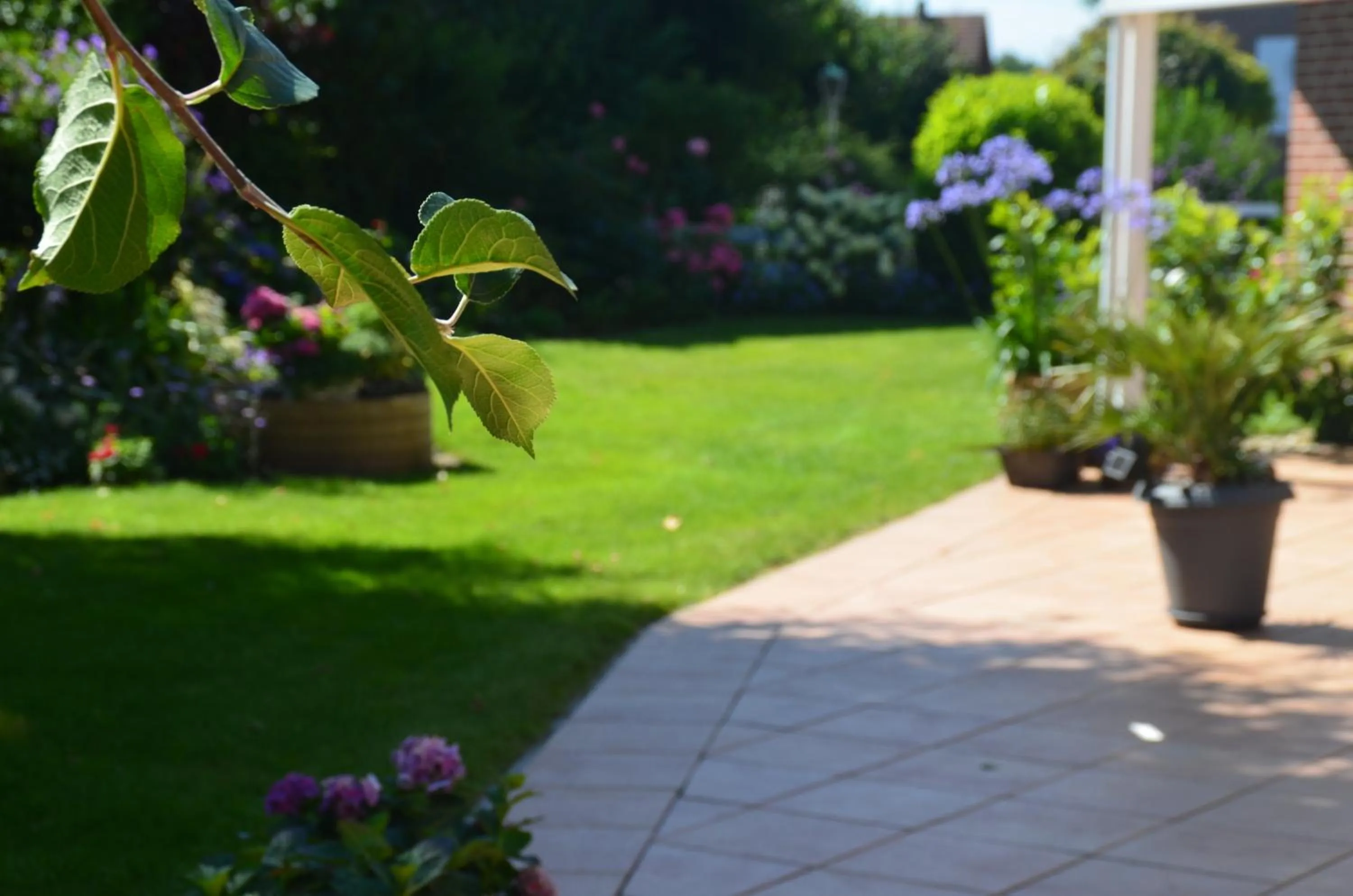 Garden in Hotel Flora