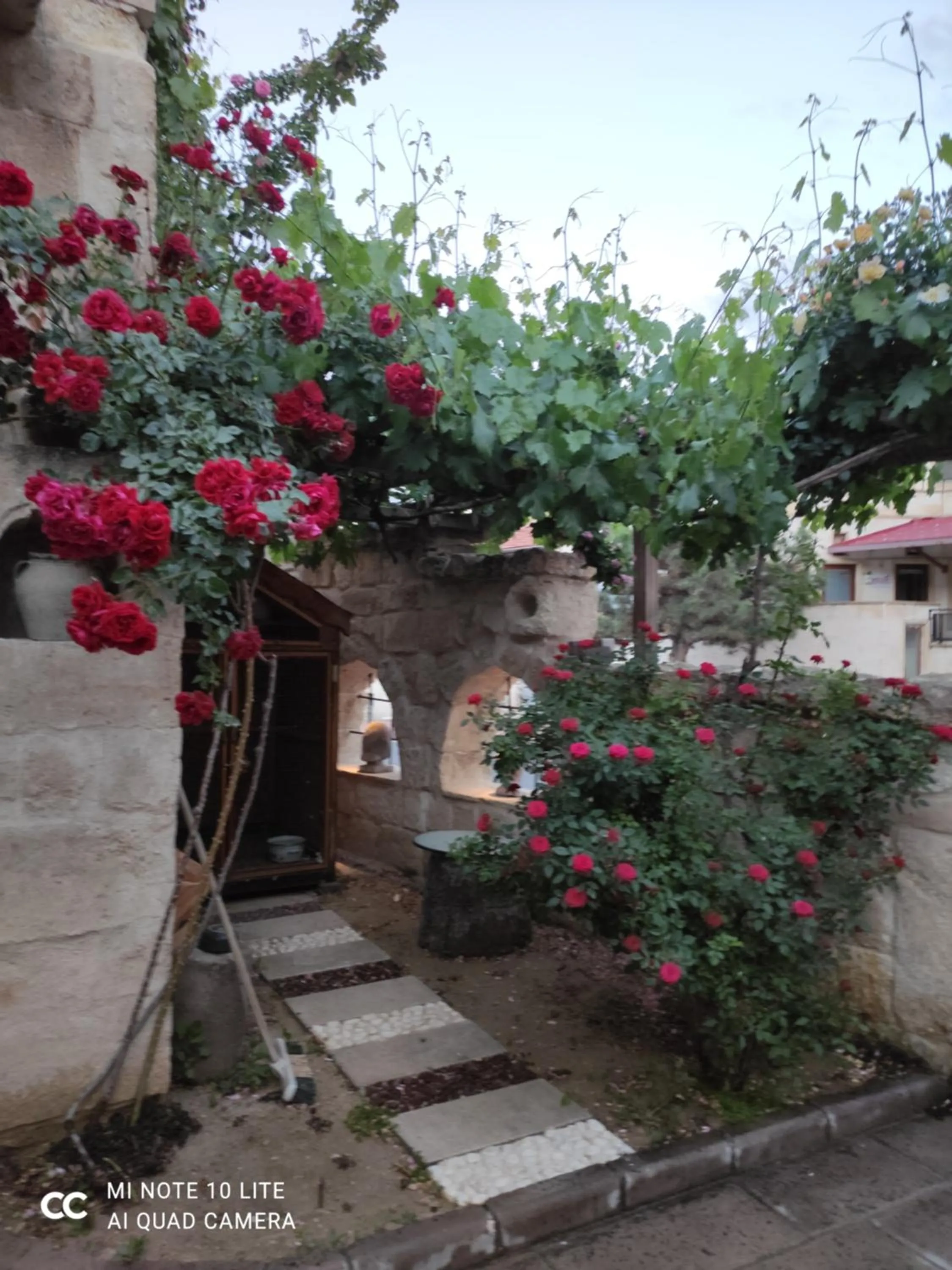 Kayhan Cave Villa