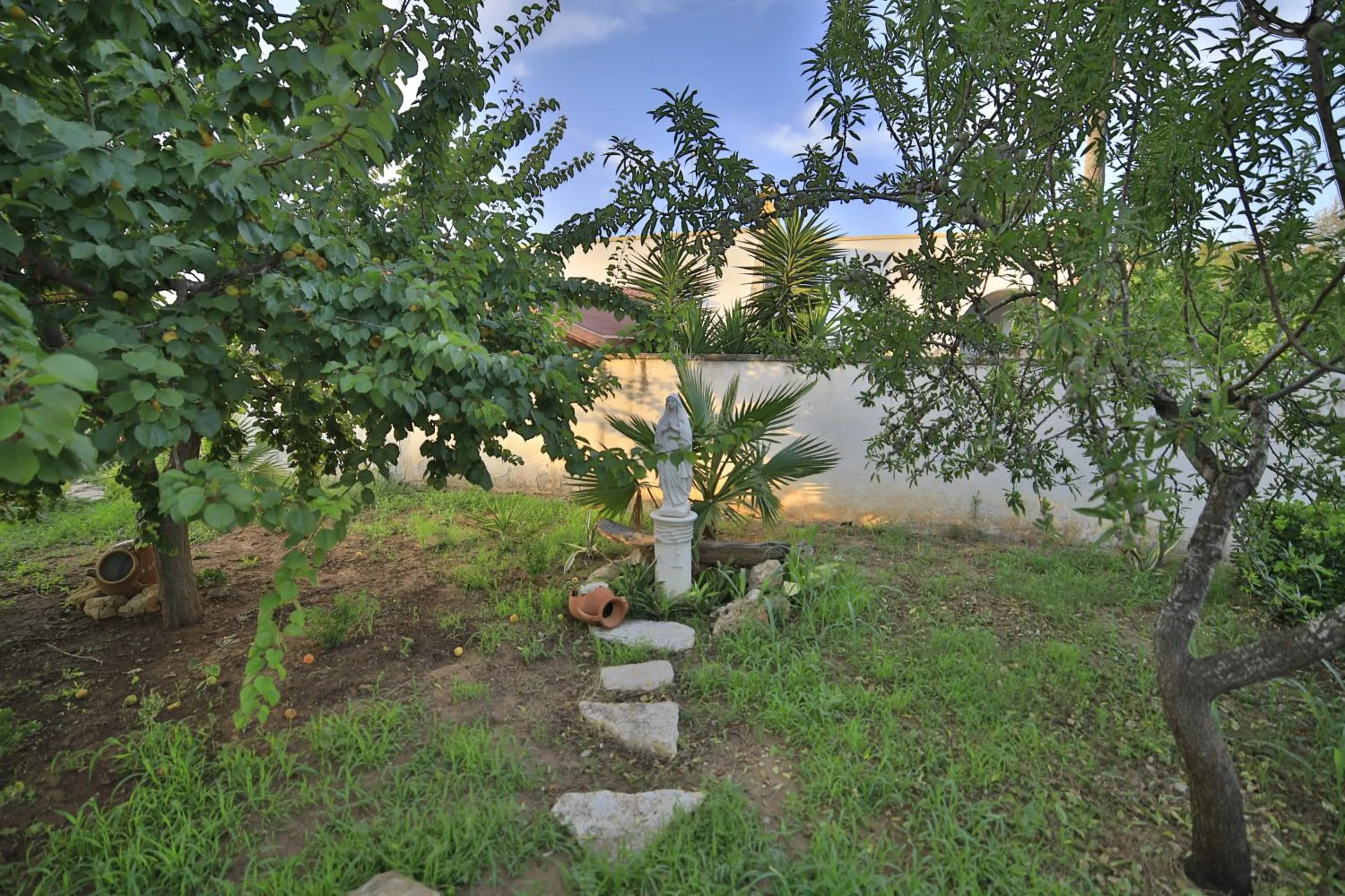 Garden in Villa Musella B&B