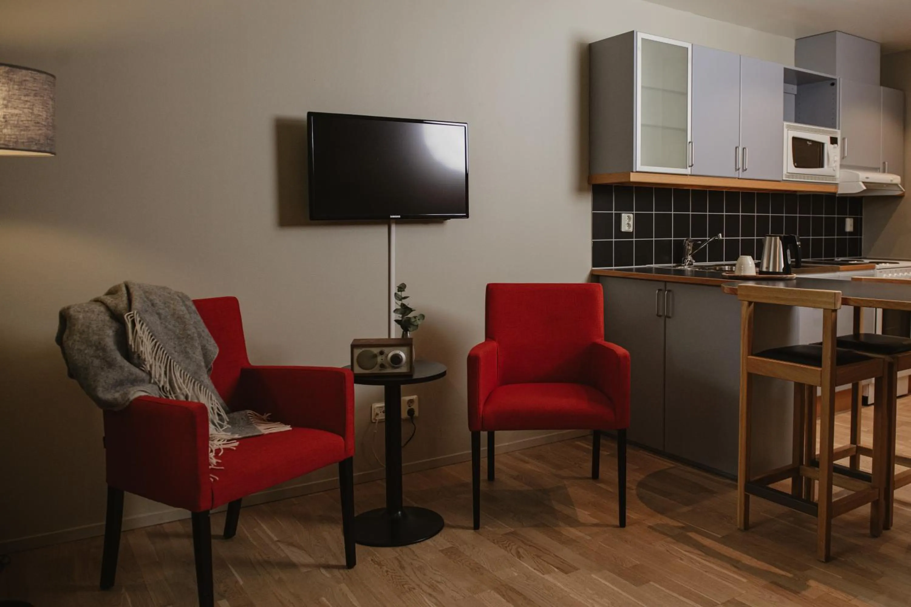 TV and multimedia in Home Hotel Odin