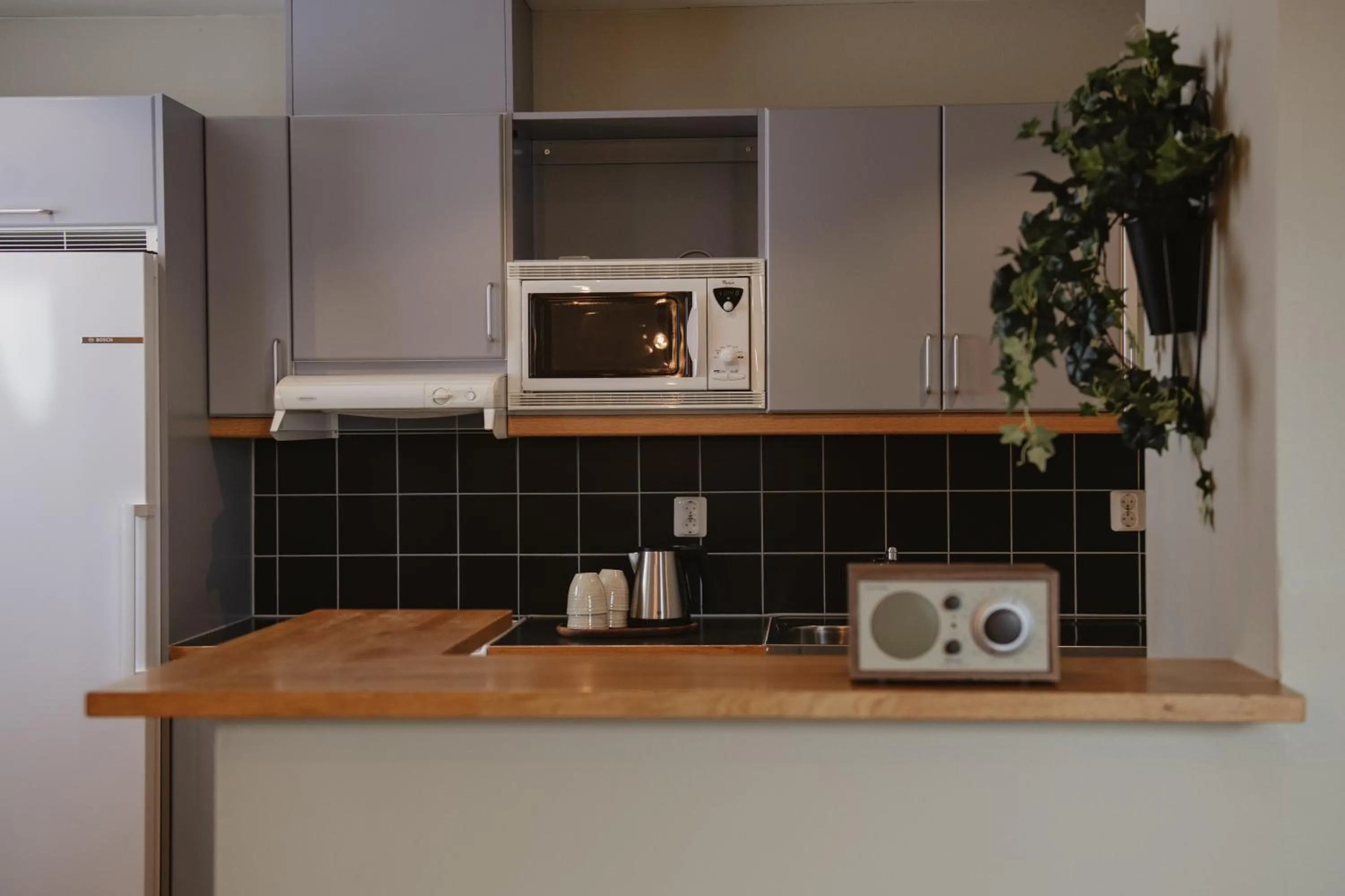 Kitchen or kitchenette in Home Hotel Odin