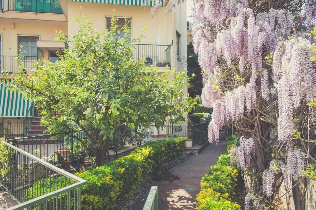 Day in Nomad B&B